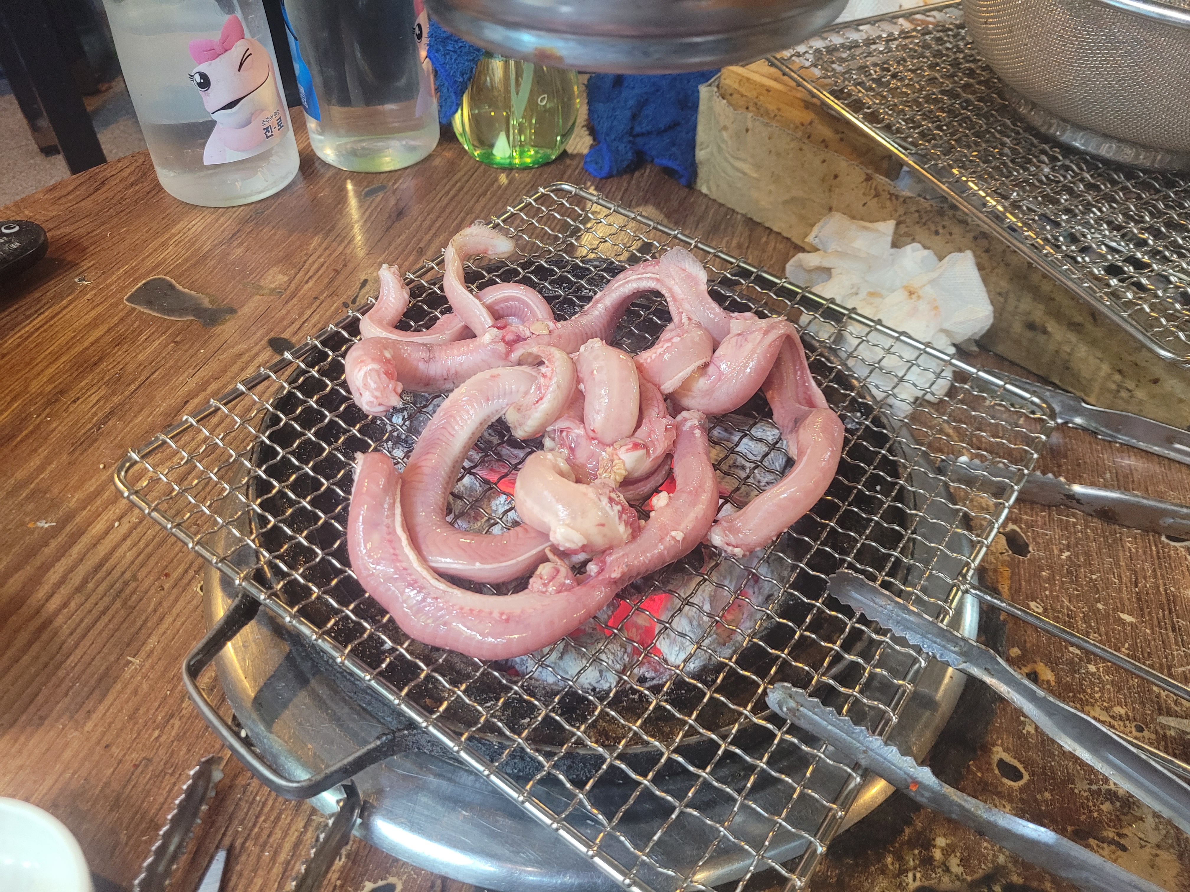 어쭈구리꼼장어