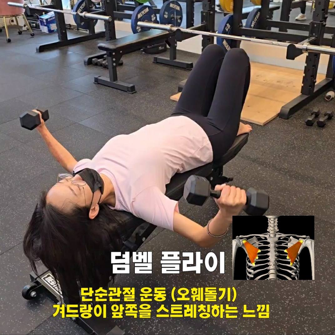 정코치Gym