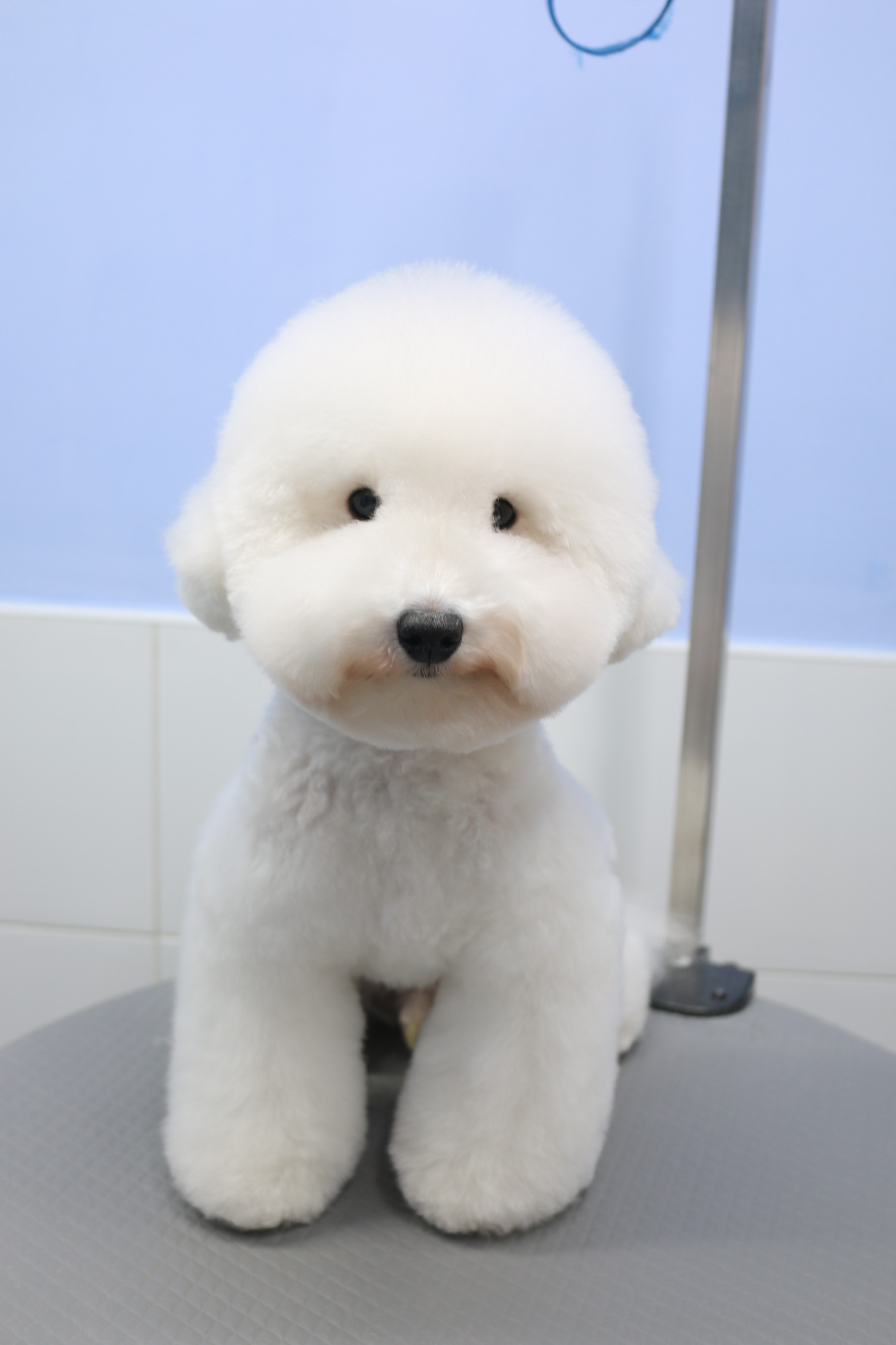 킨더그루밍 대표 이미지