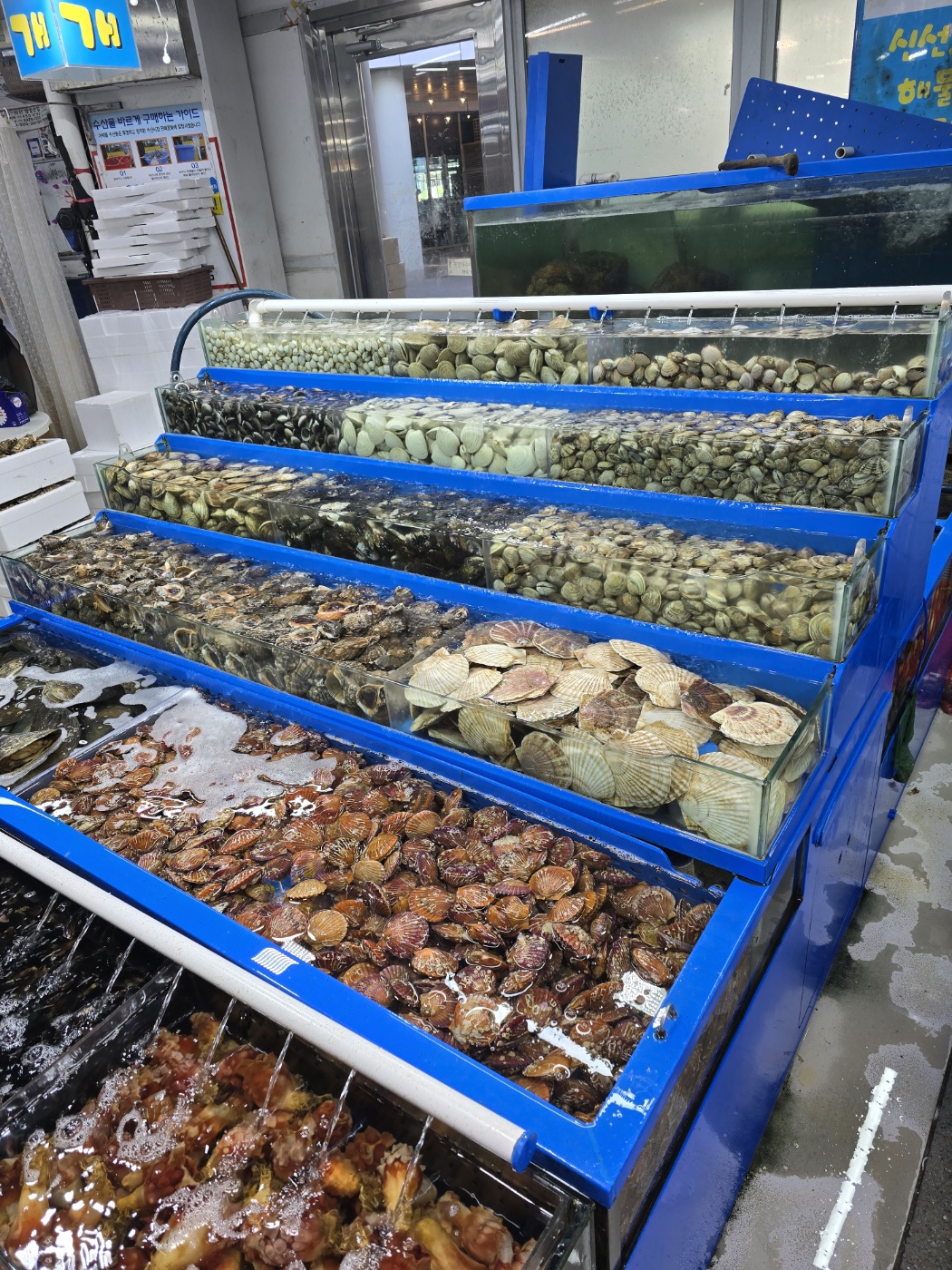 대우수산