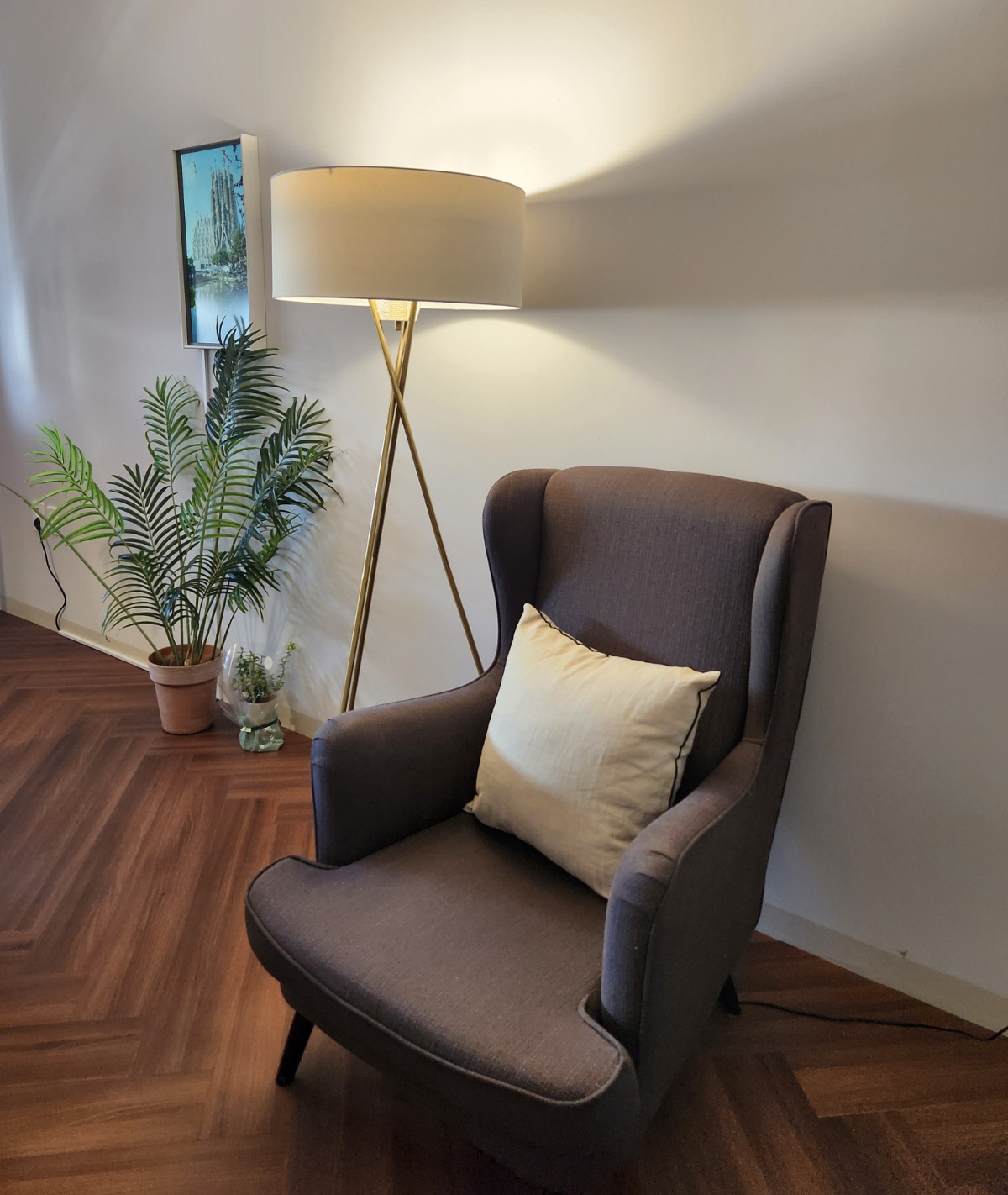 연세그레이스 대표 이미지