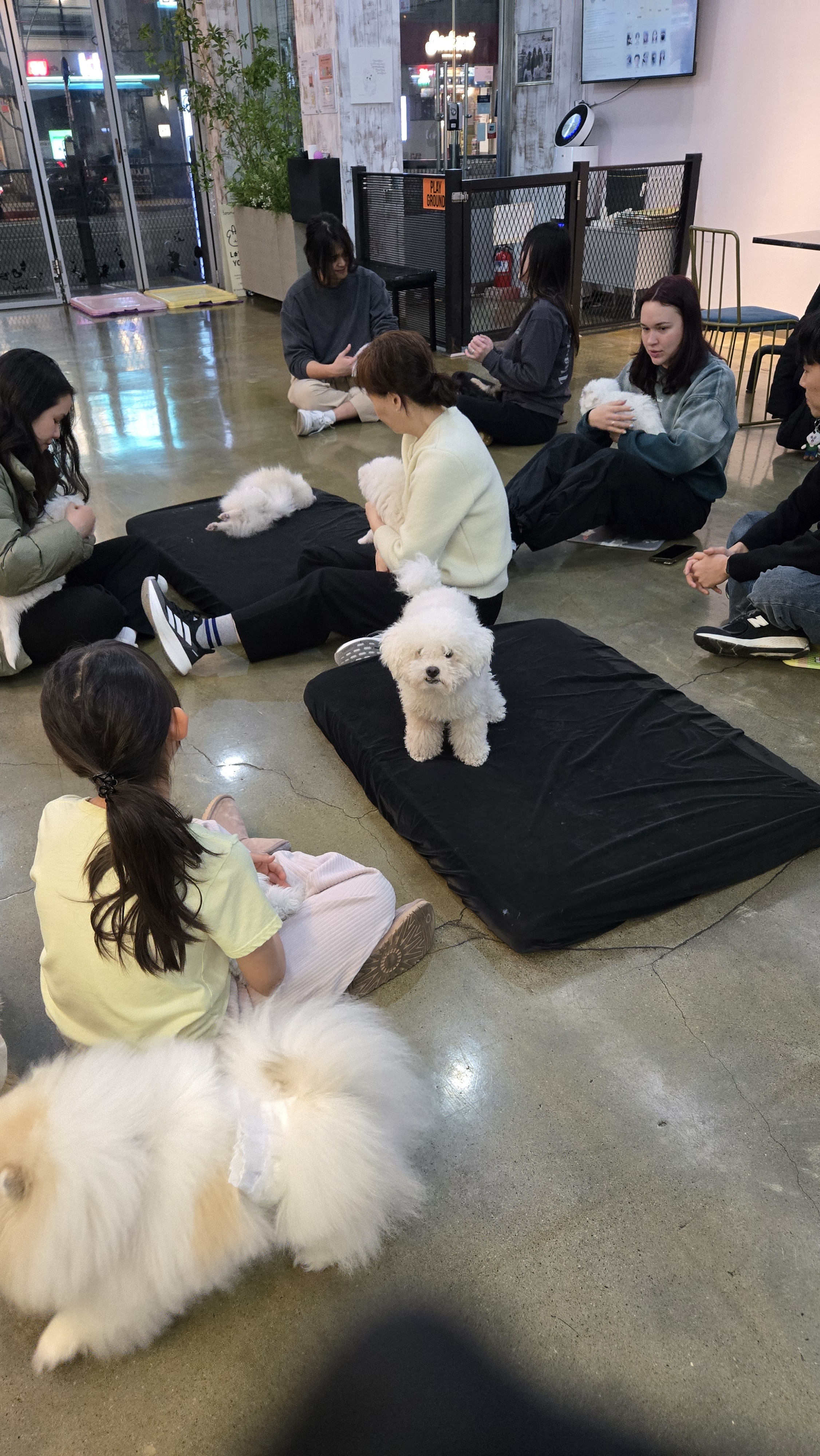 더왈츠 앤 조이피아 대표 이미지