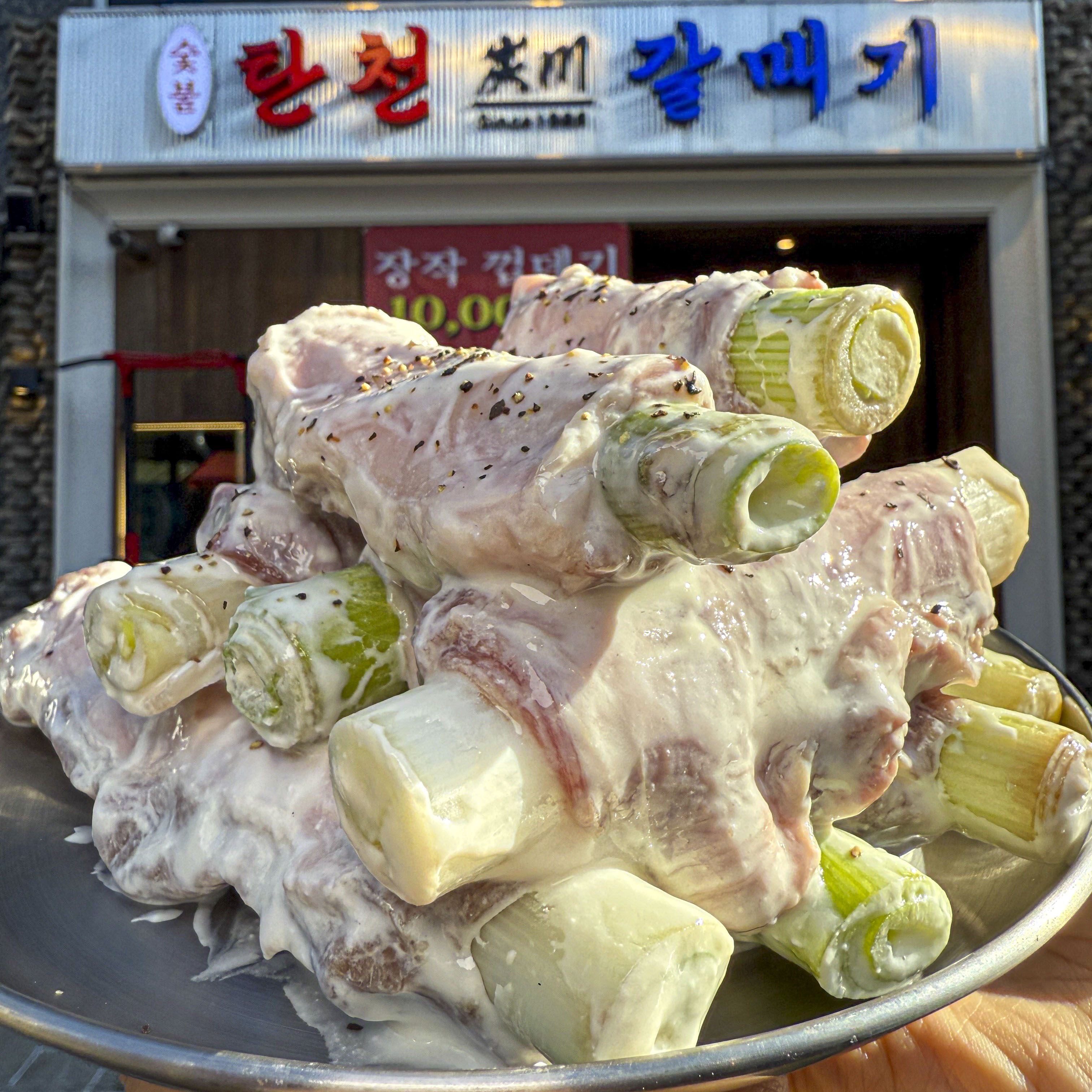 탄천갈매기 왕십리 설명사진