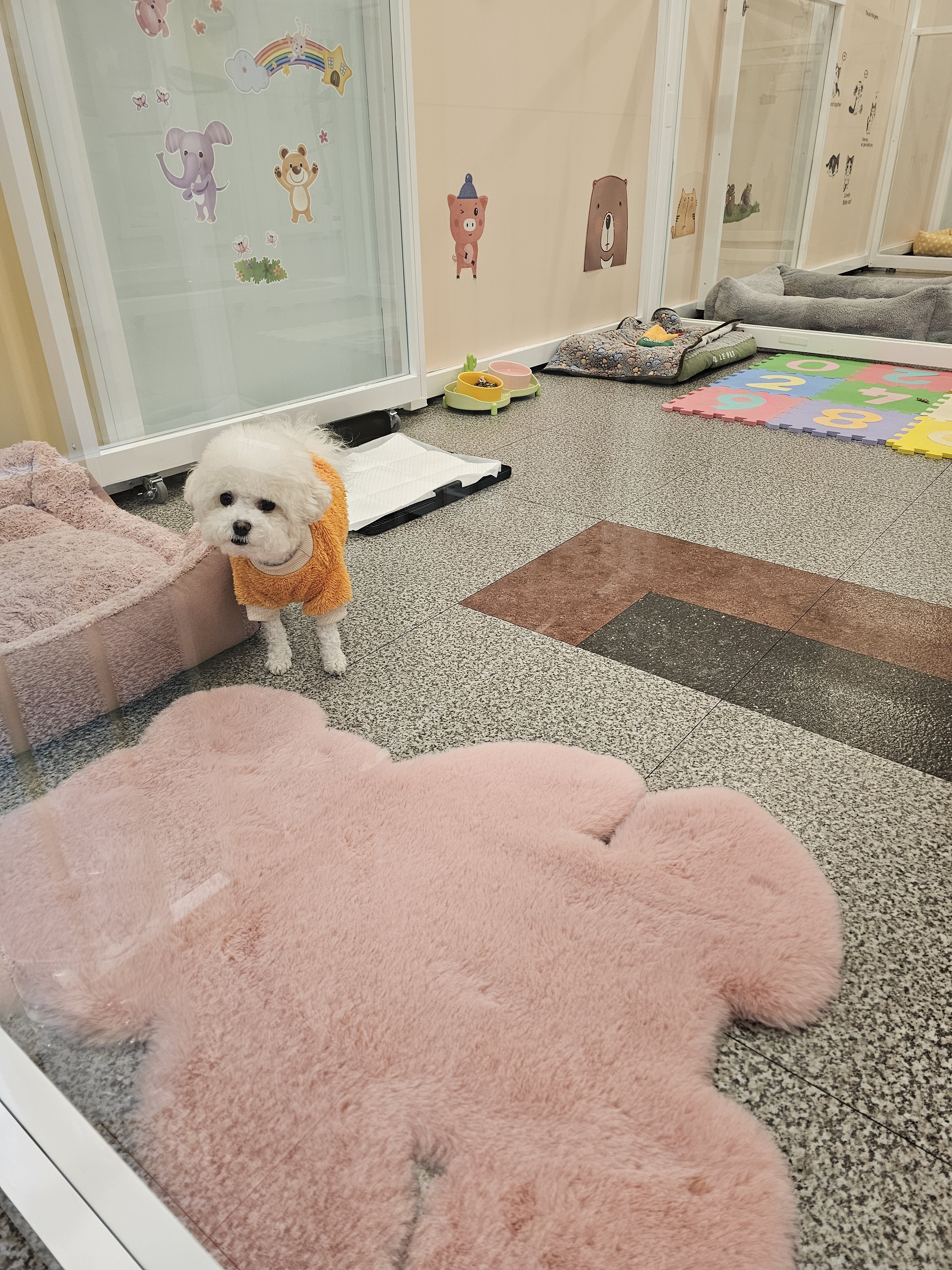 펫인애견호텔 대표 이미지