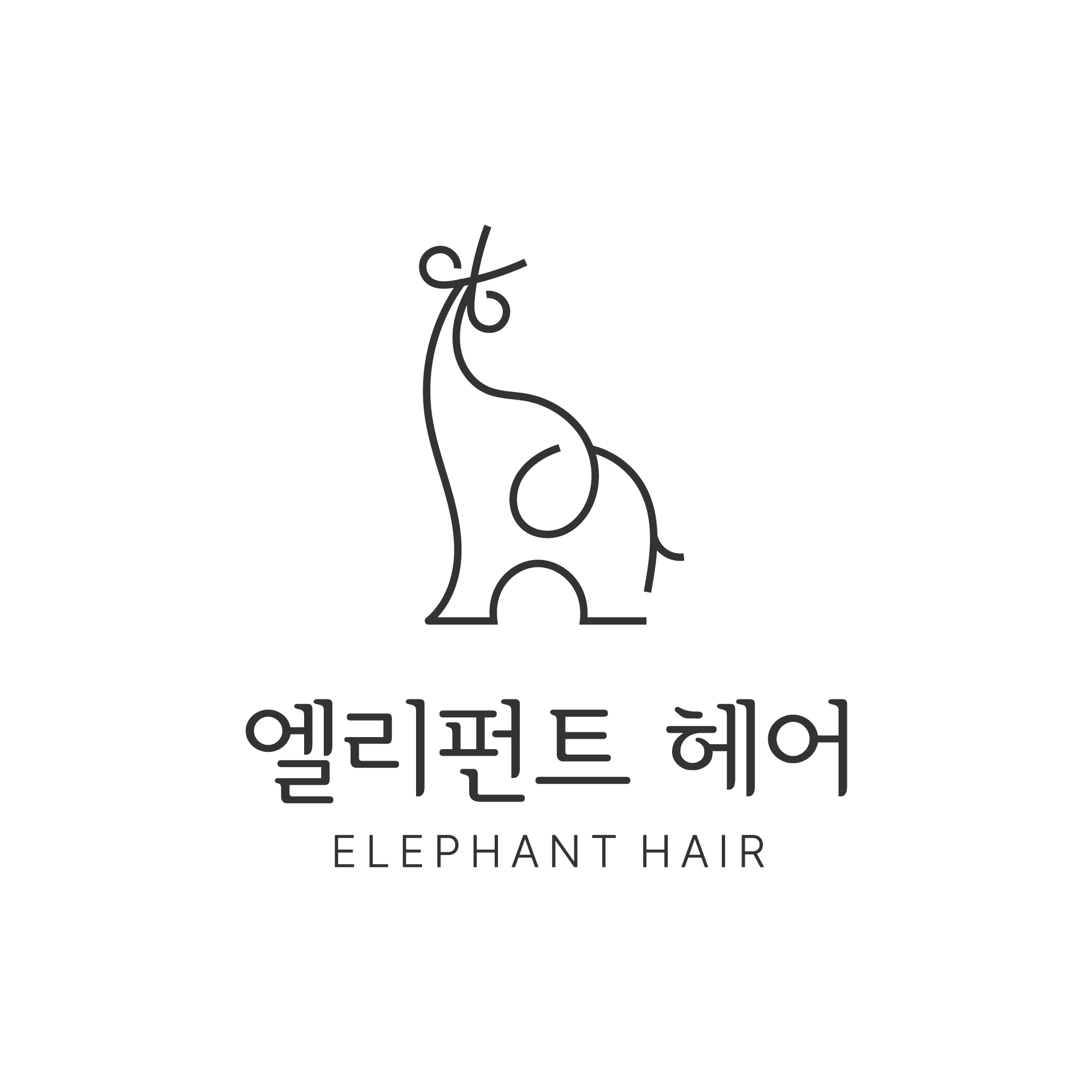 엘리펀트 헤어