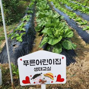 푸른어린이집