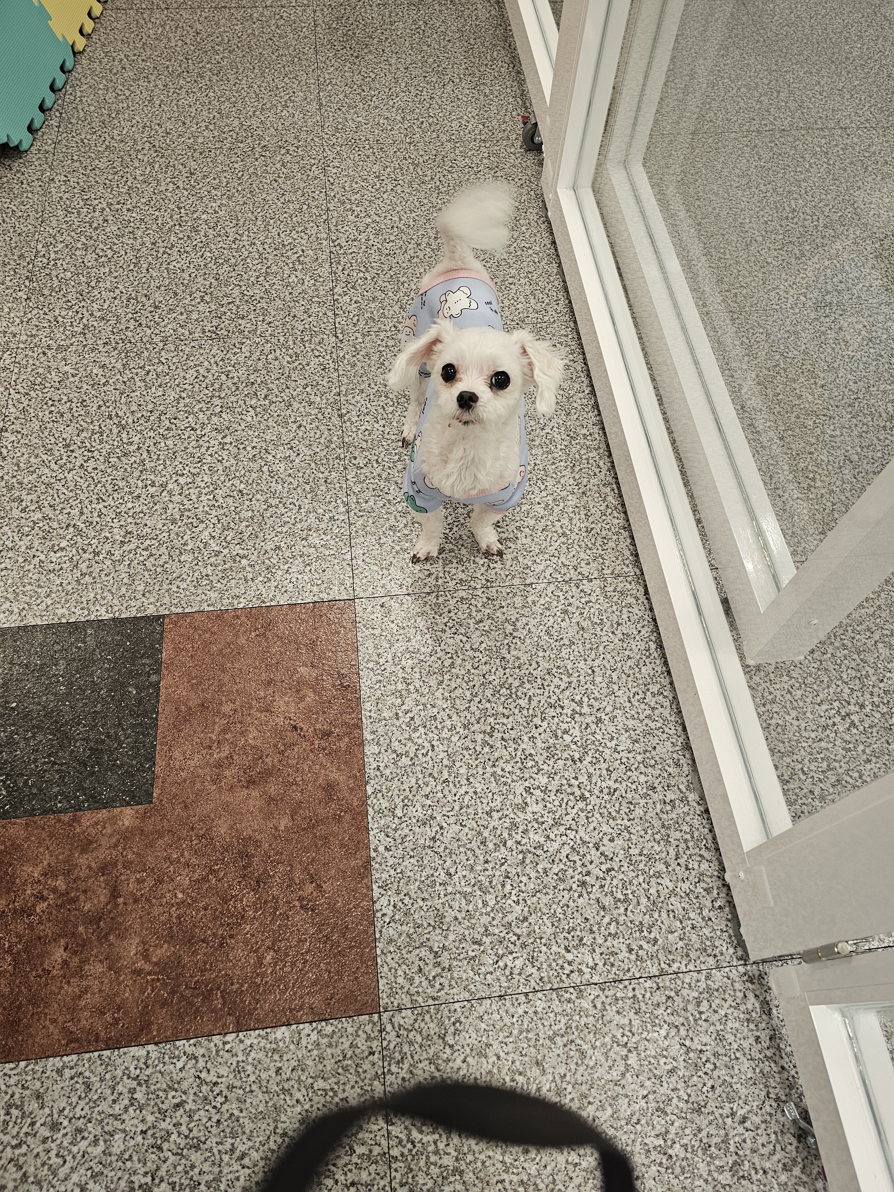 펫인애견호텔 대표 이미지