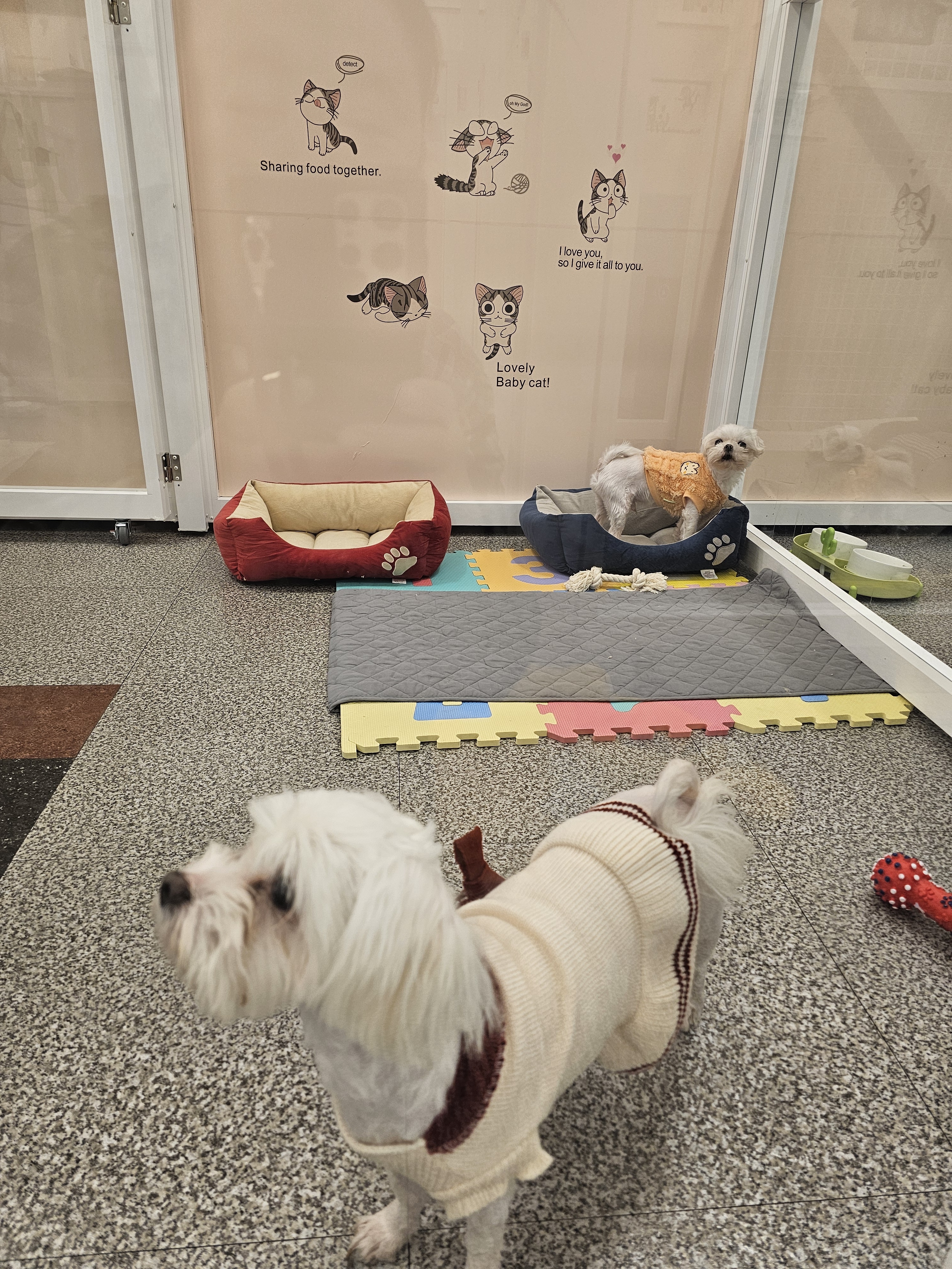 펫인애견호텔 대표 이미지