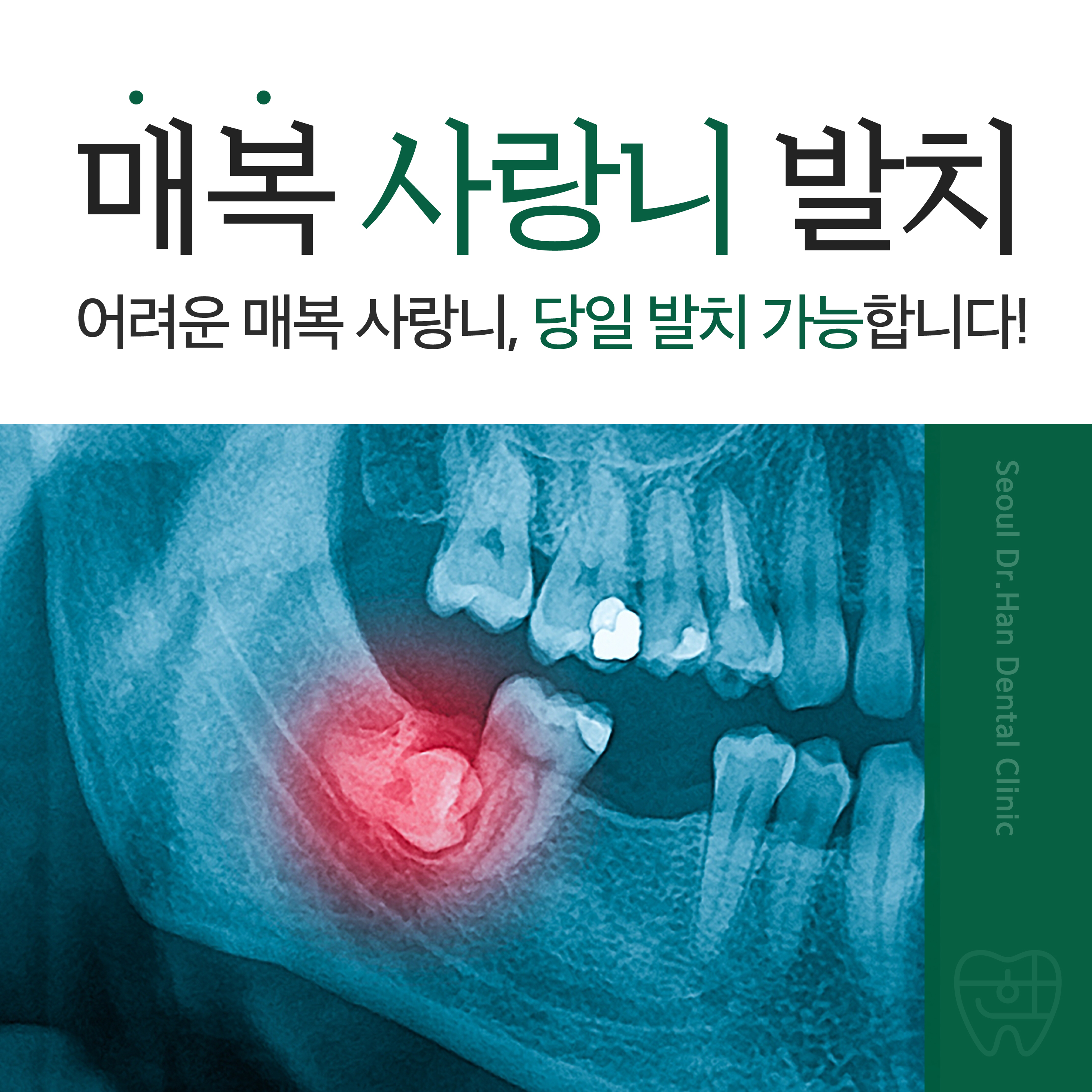 서울닥터한치과의원 대표 이미지