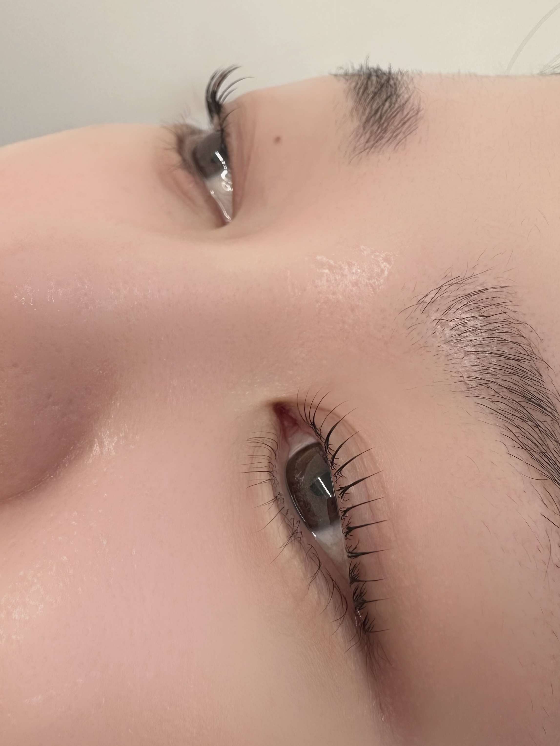 바이레마 브로우