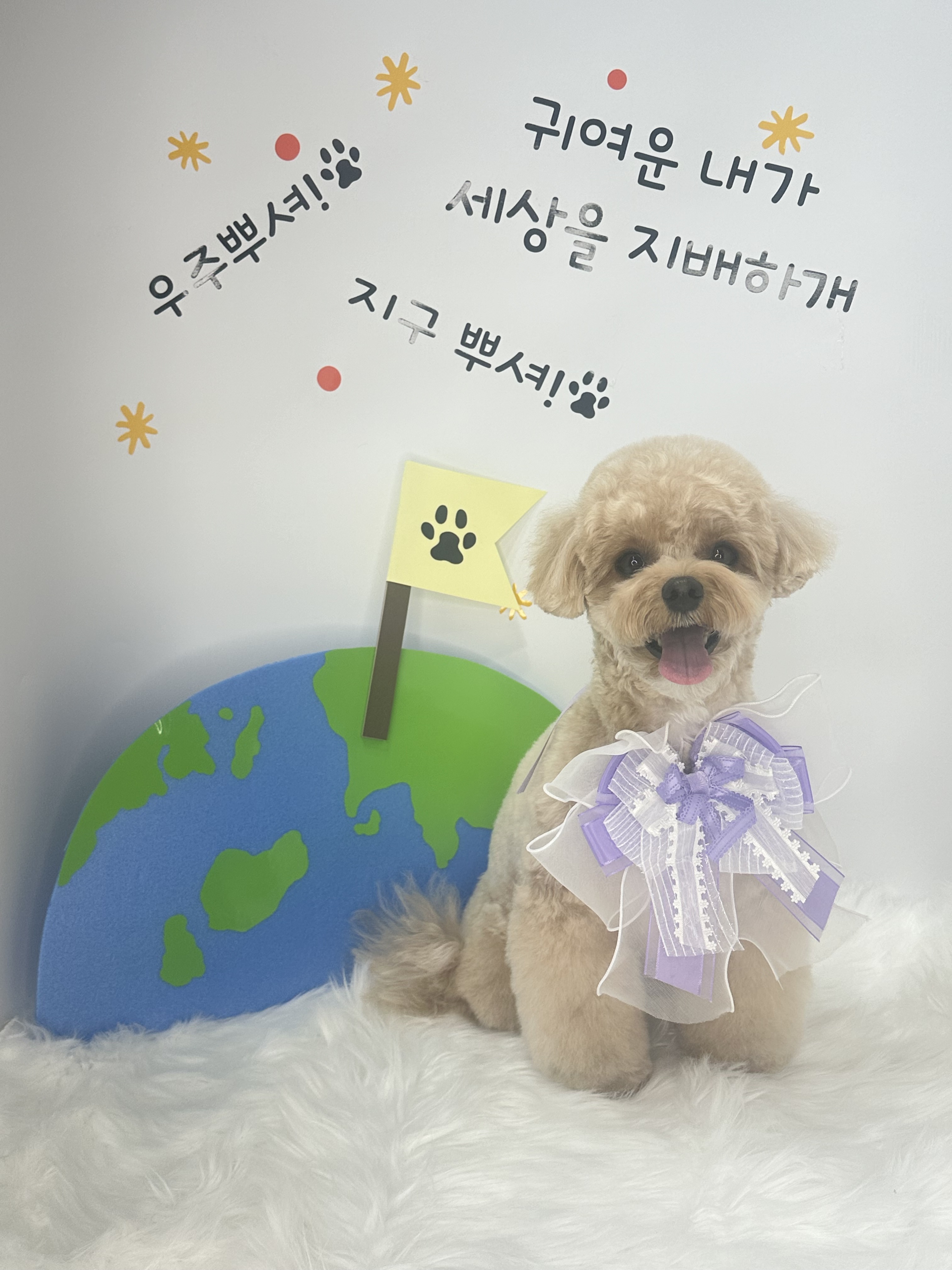 디어독 대표 이미지