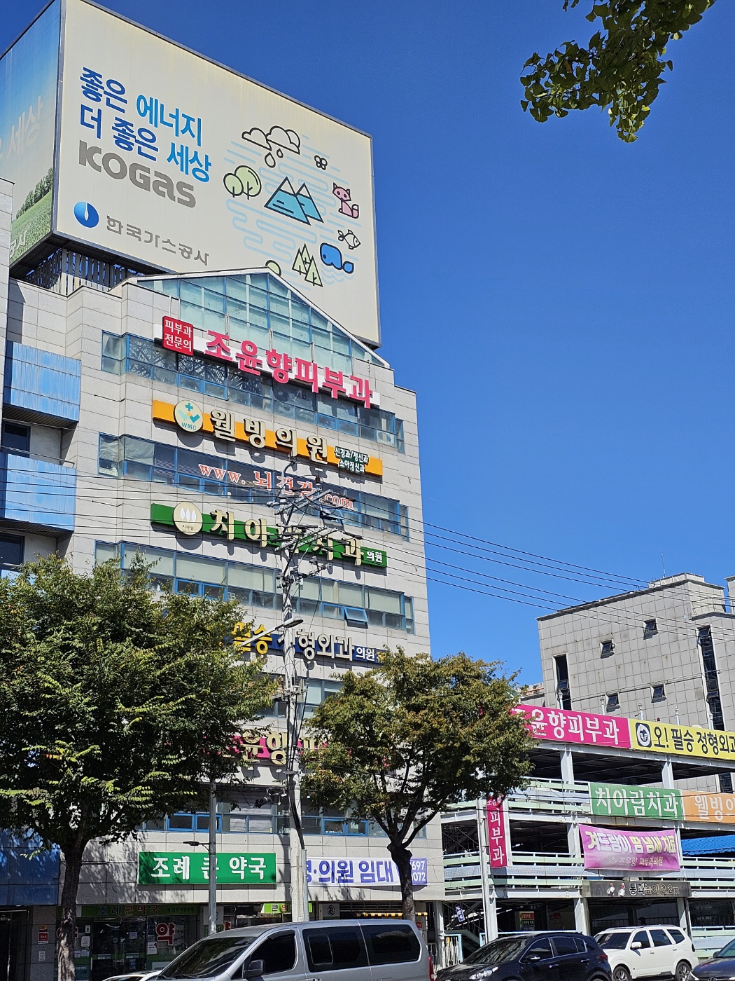 웰빙의원