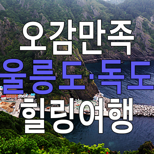 하나항공여행사
