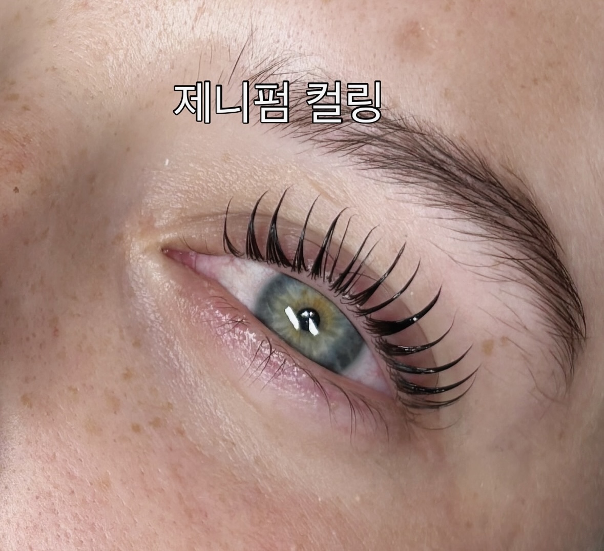 제니속눈썹 대표 이미지