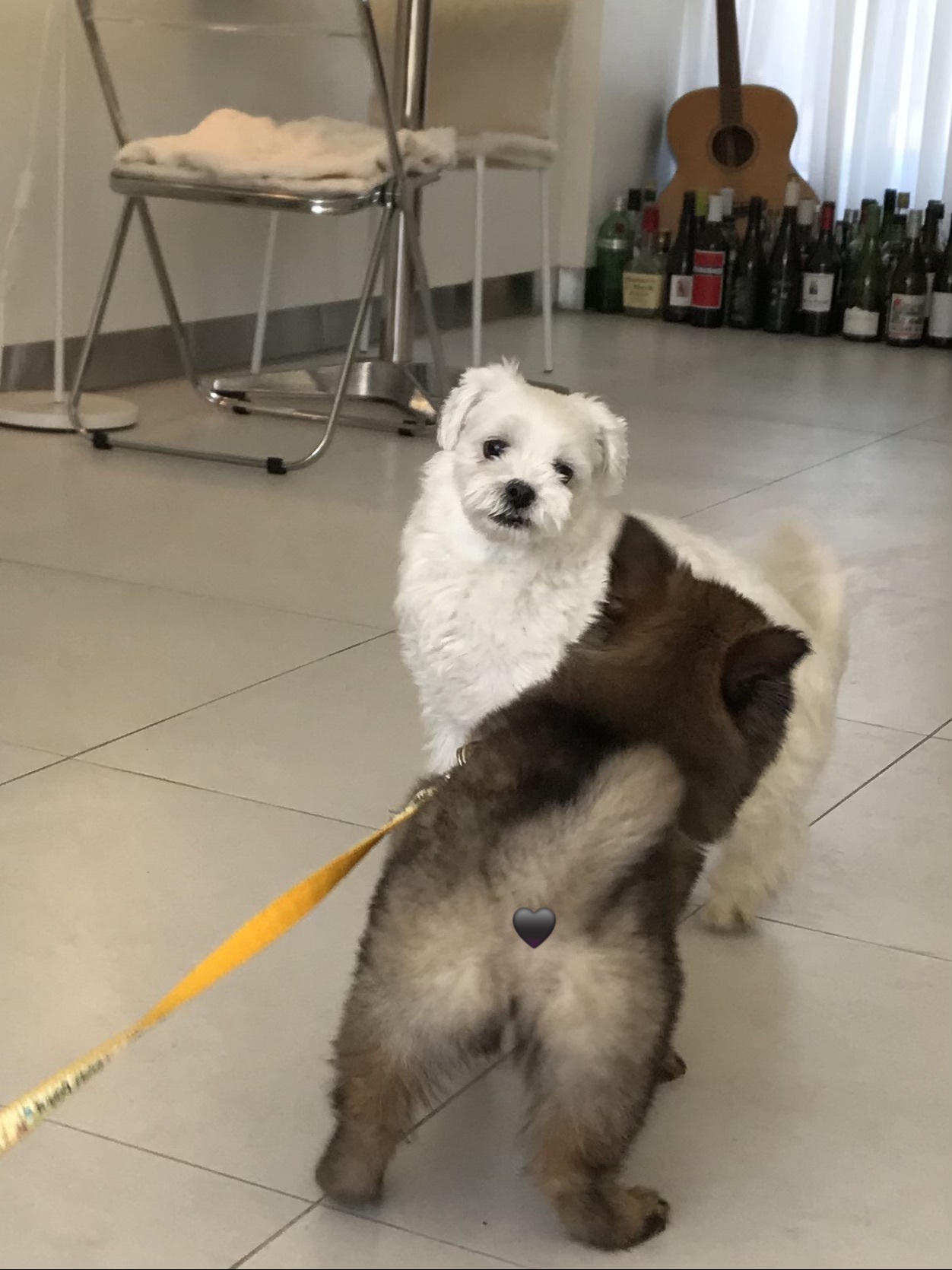 공원카페