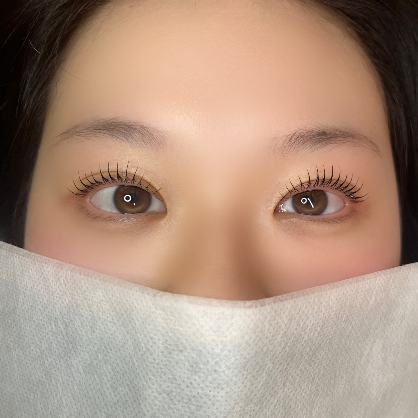 하솜래쉬 대표 이미지