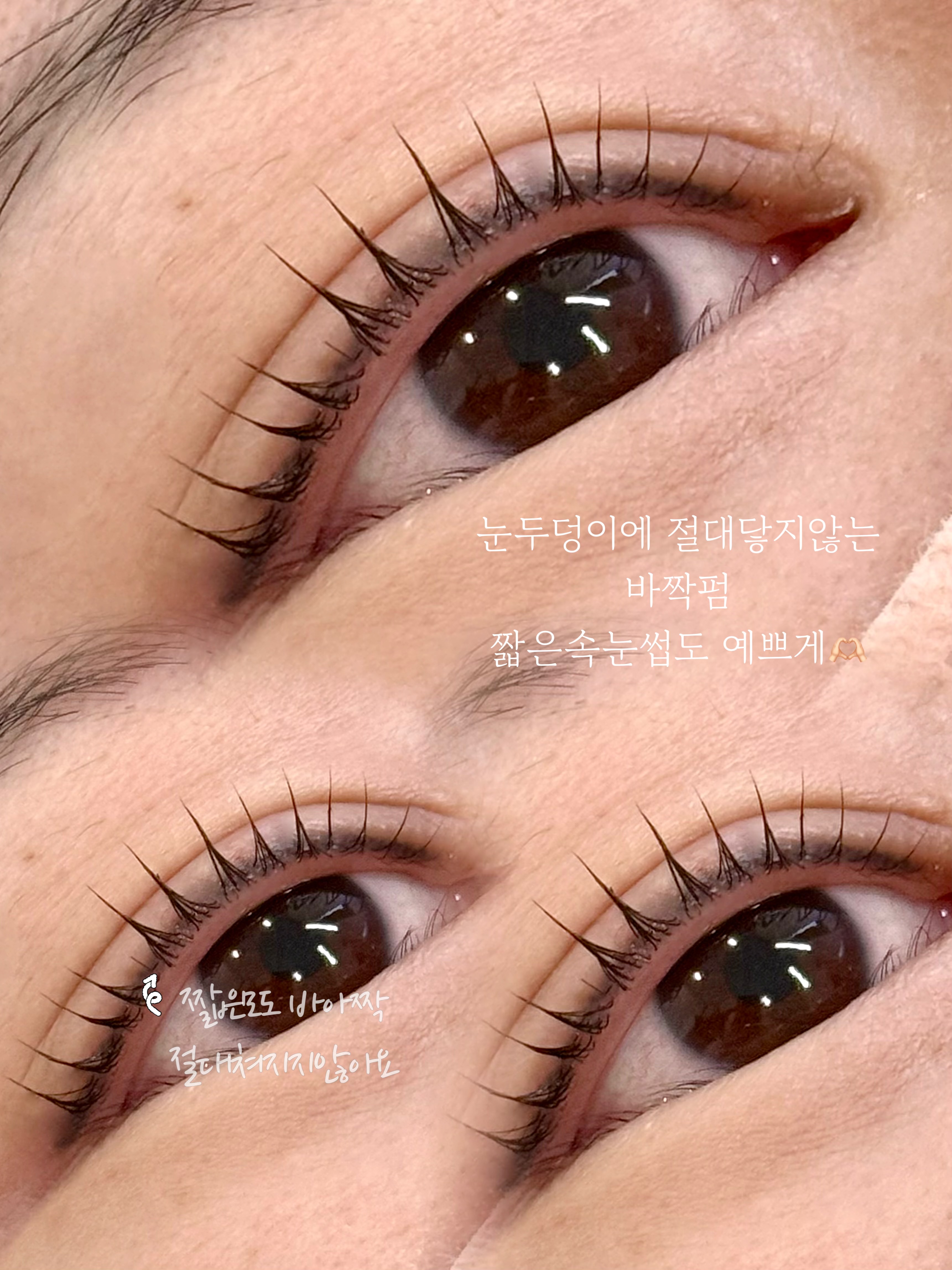 바비제니 대표 이미지