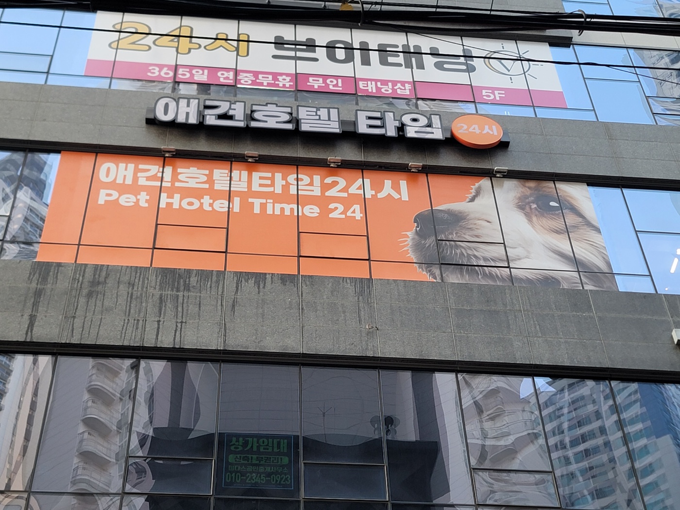 애견호텔 타임24 대구황금역점 대표 이미지