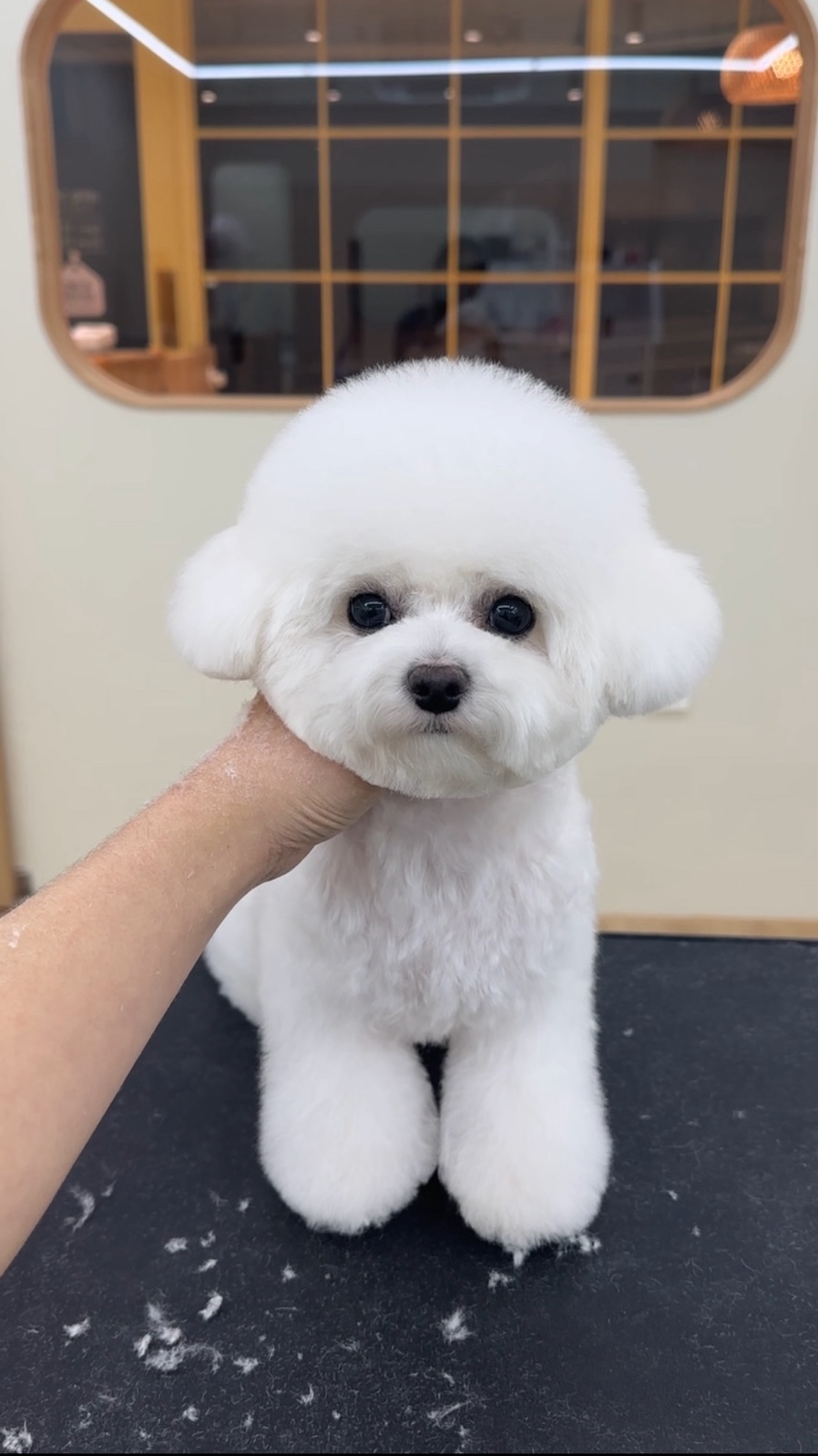 네추럴그루밍 대표 이미지