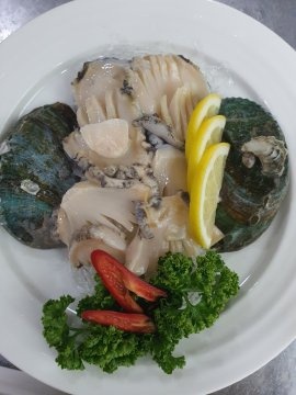참조은참치