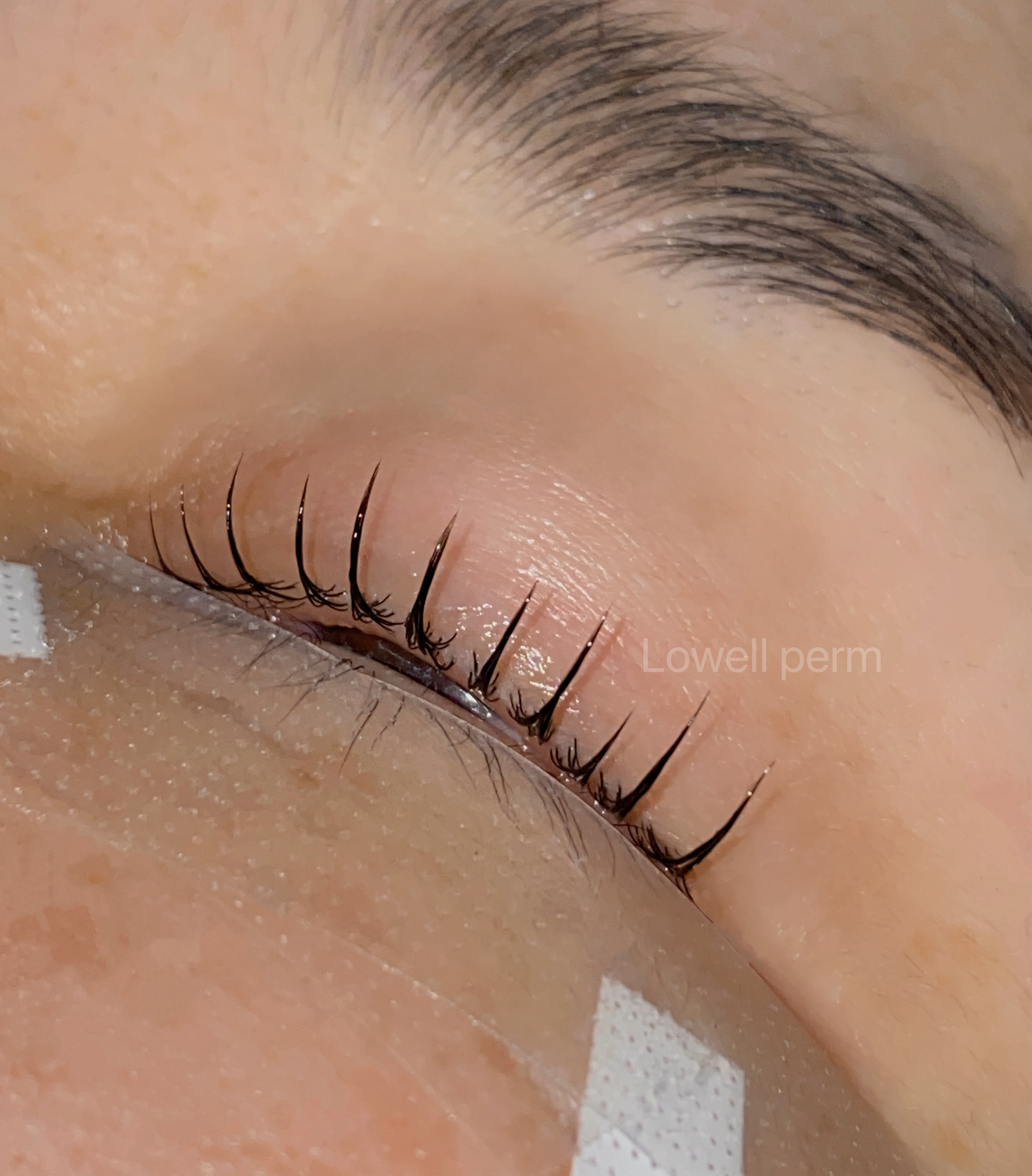 로웰 대표 이미지