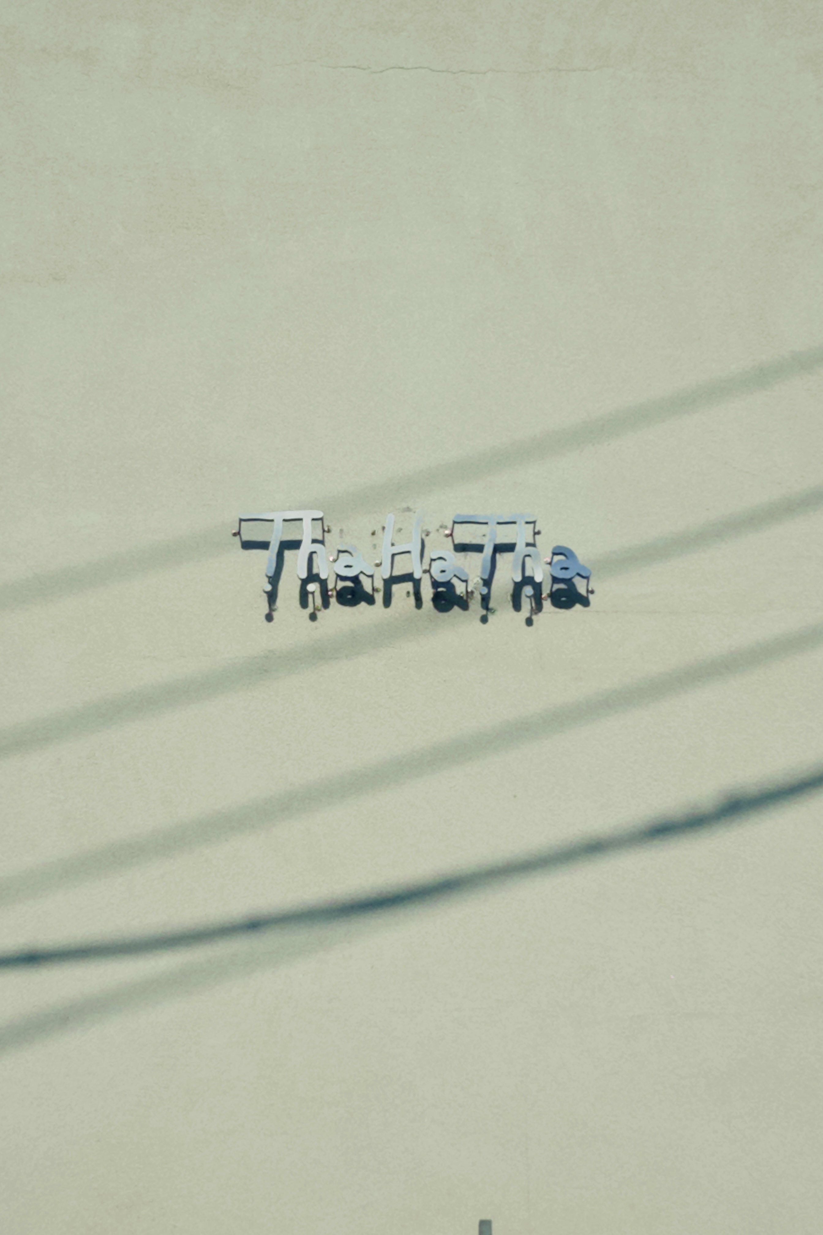 타하타 대표 이미지