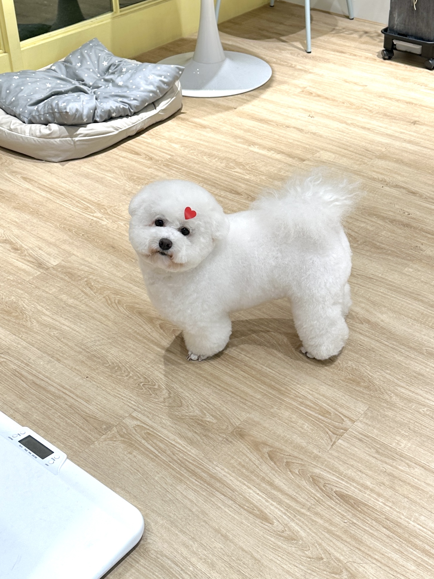 네추럴그루밍 대표 이미지