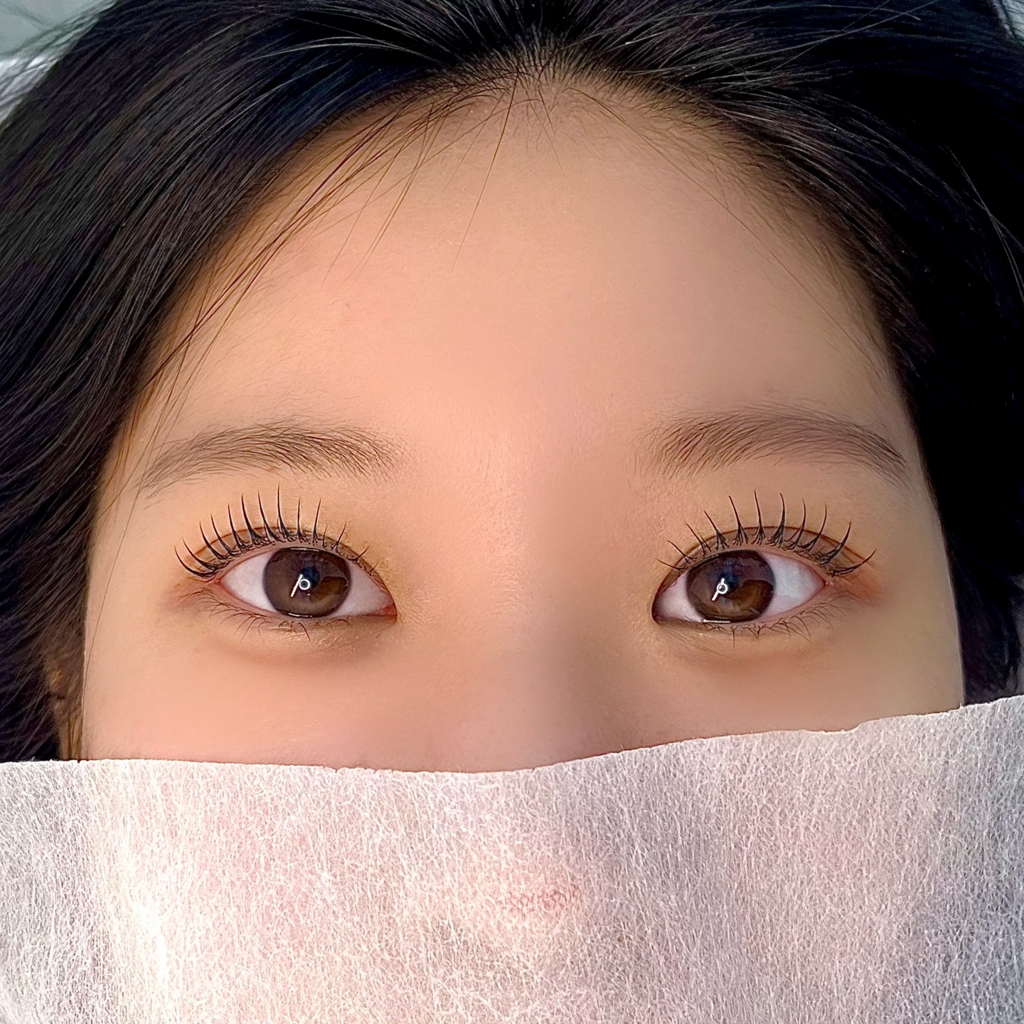 하솜래쉬 대표 이미지