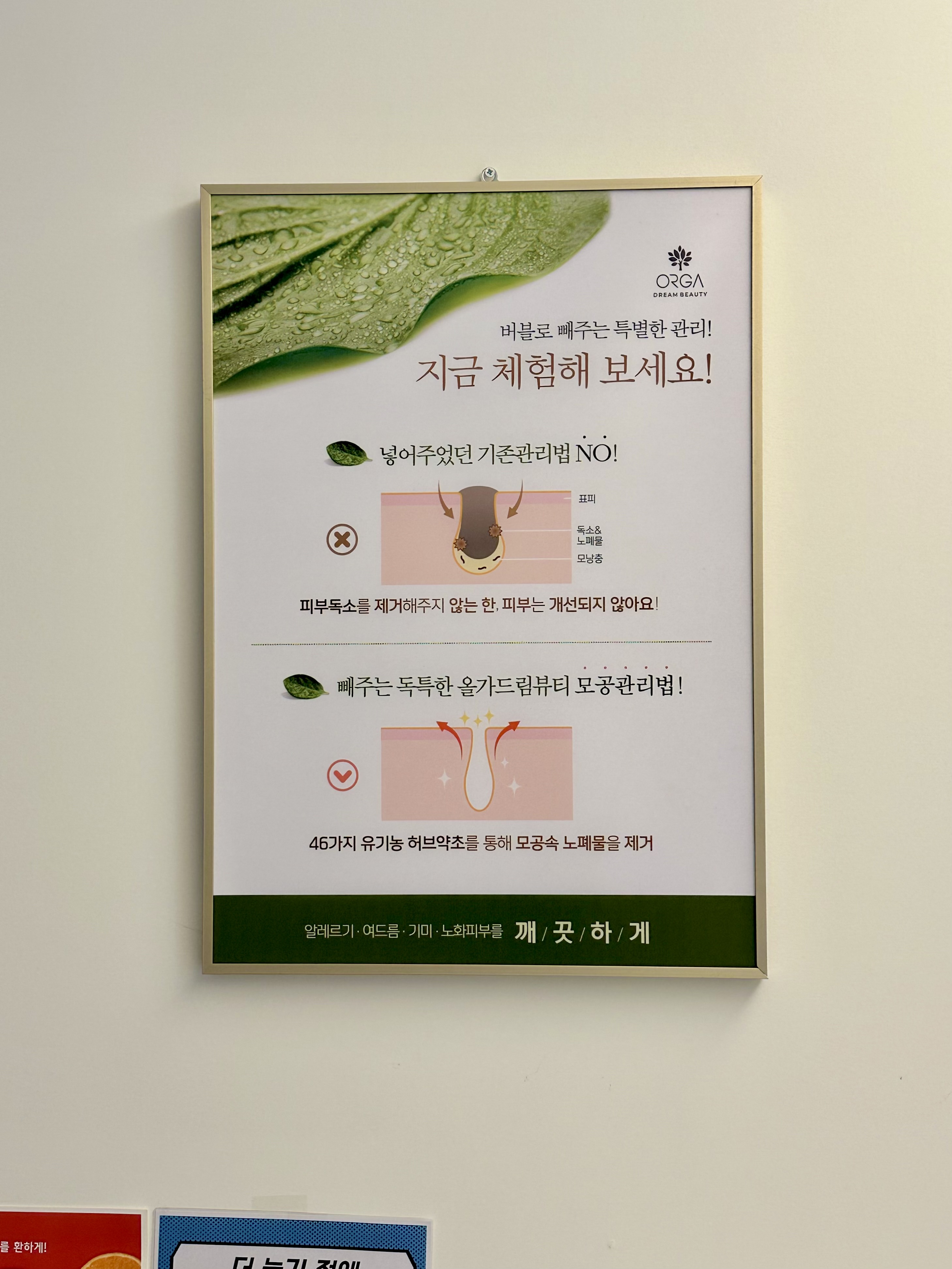 올가드림뷰티 야음점 대표 이미지