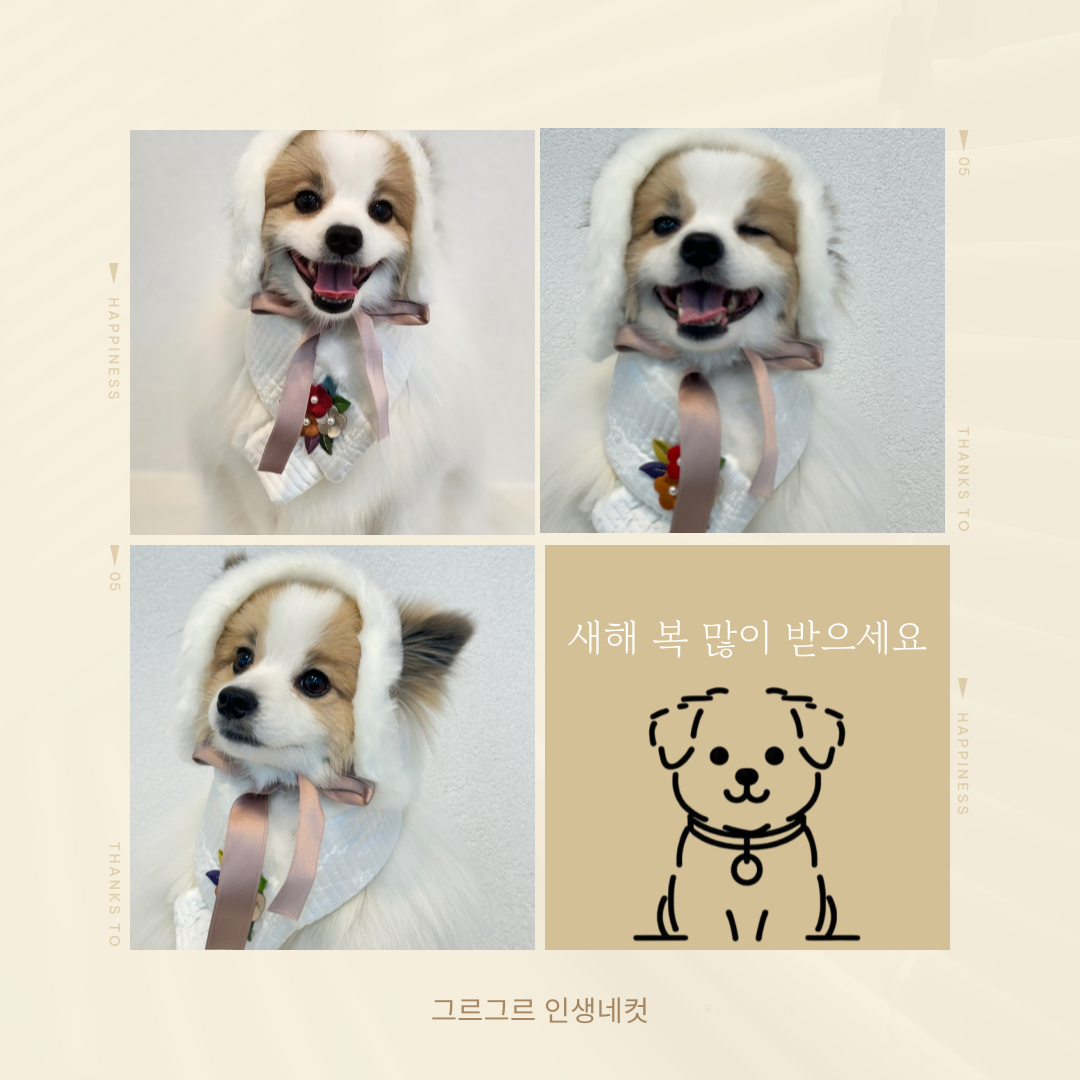 그르그르 대표 이미지