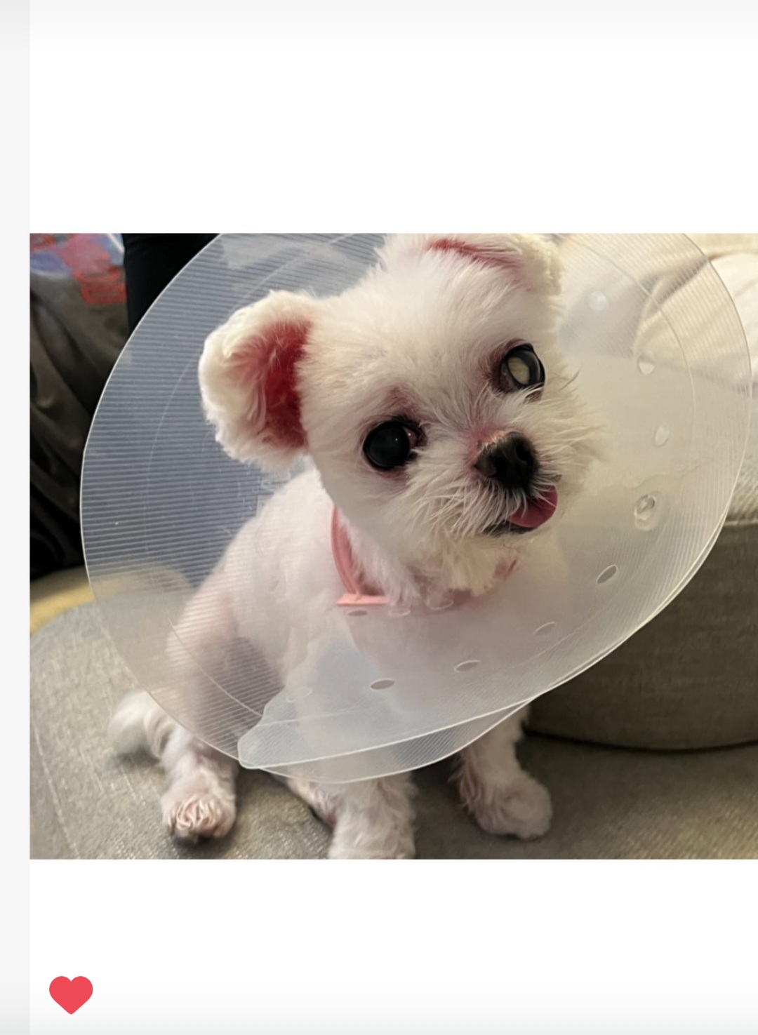 도담도담 대표 이미지