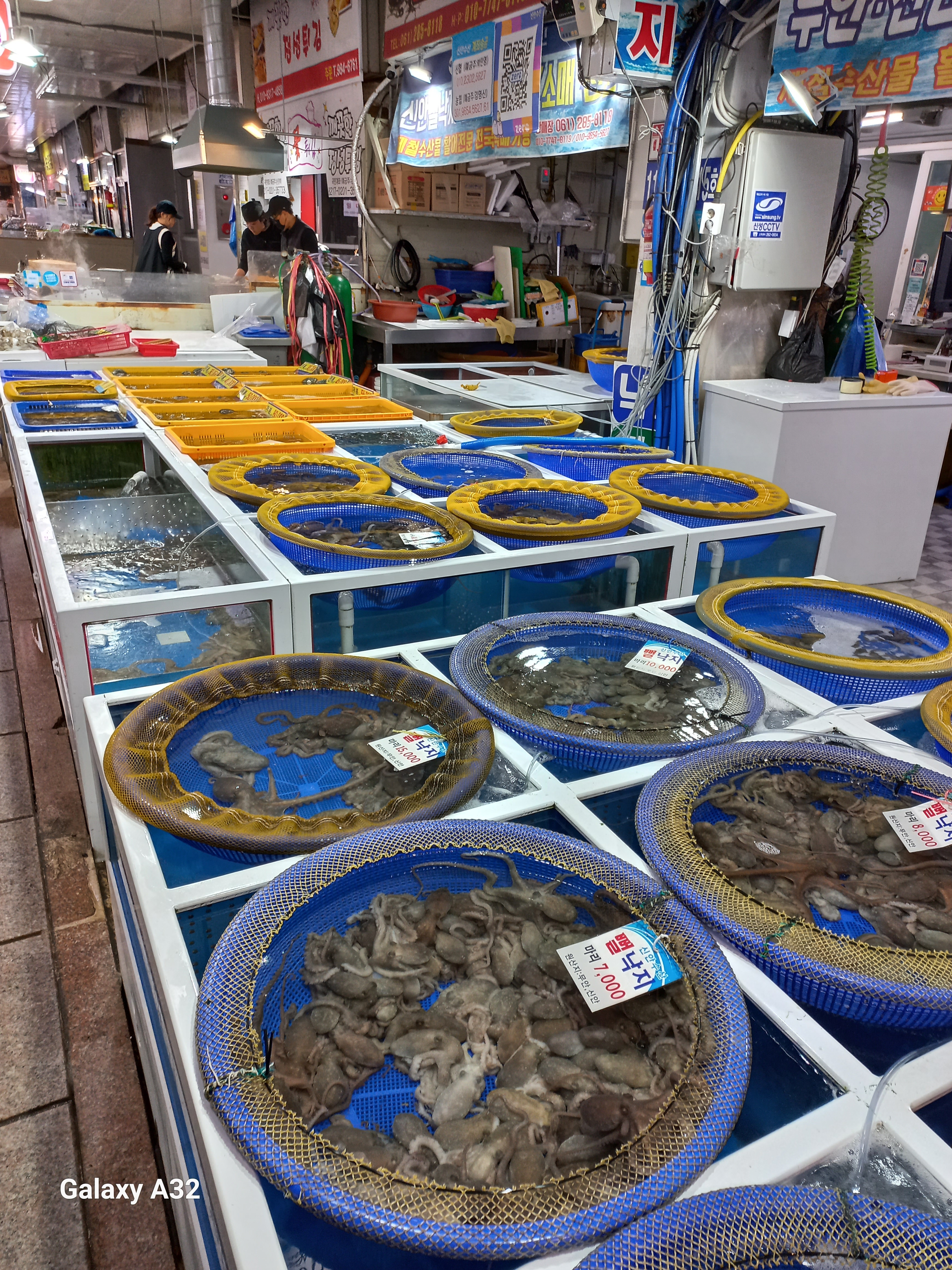 신안수산