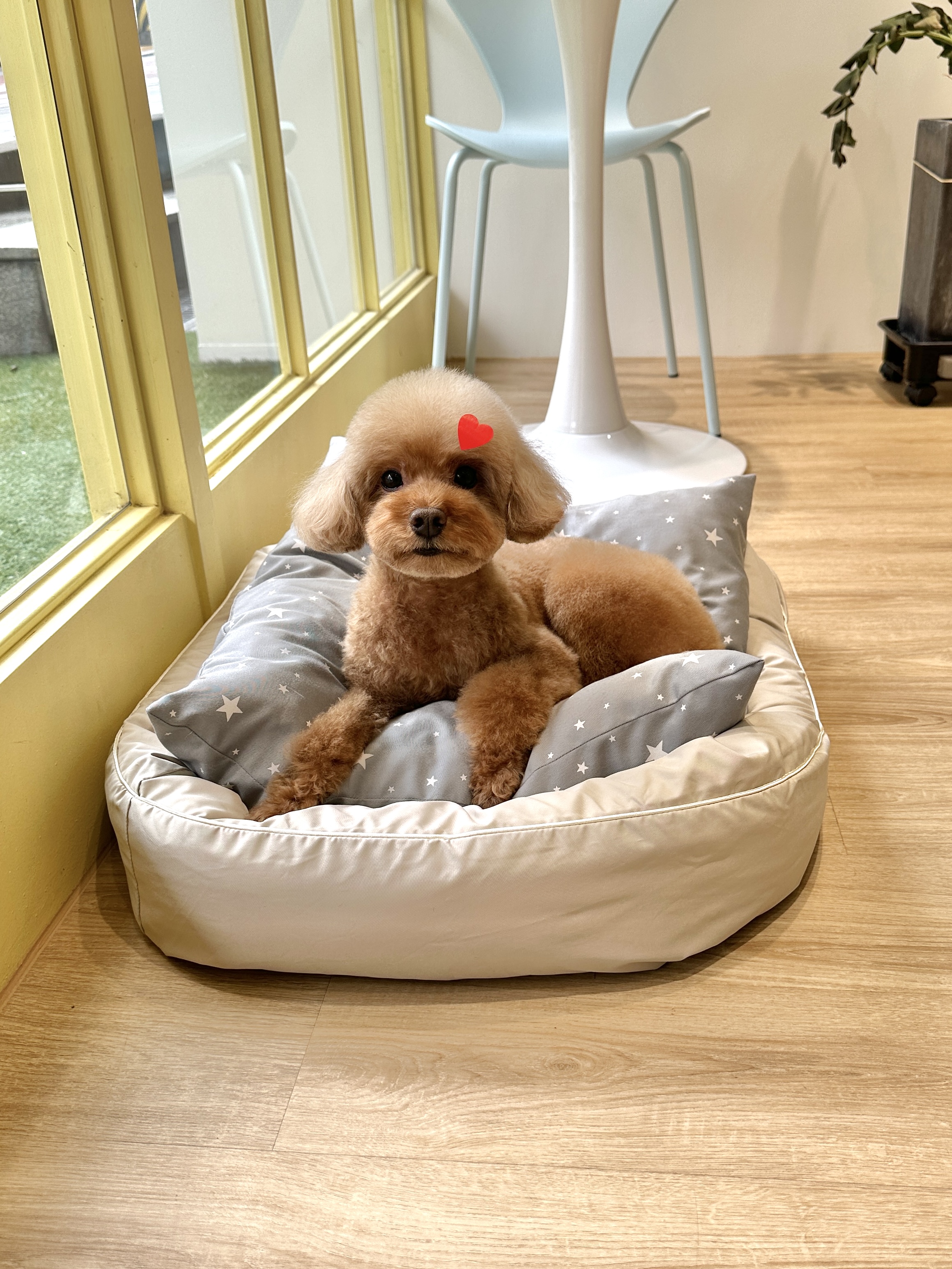 네추럴그루밍 대표 이미지