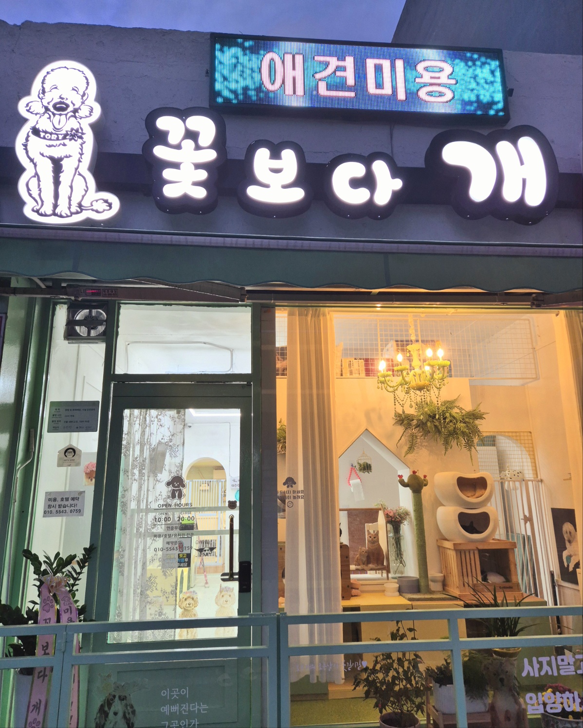 꽃보다개 대표 이미지