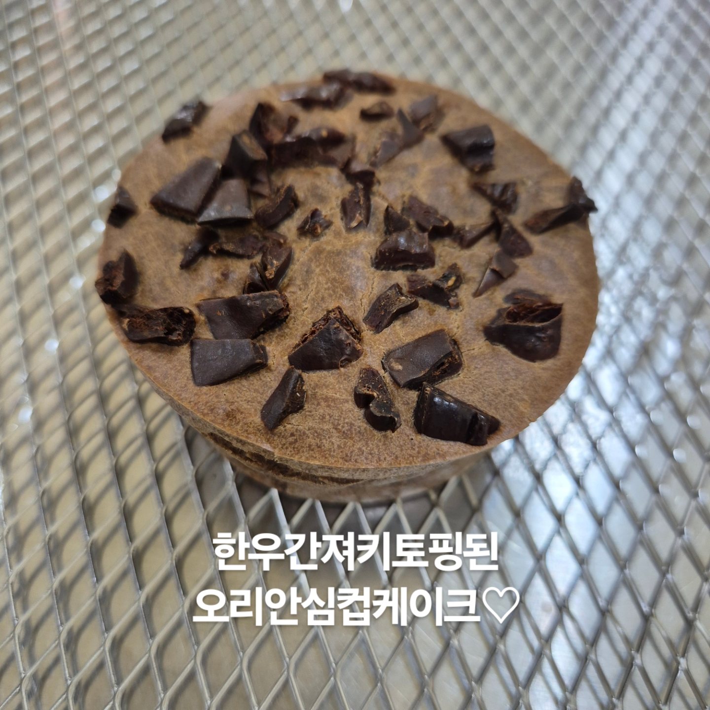 여니네펫공방