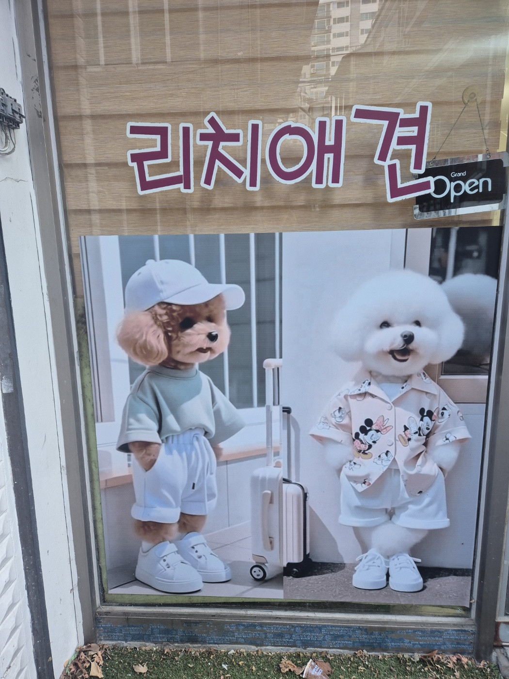 리치애견 대표 이미지