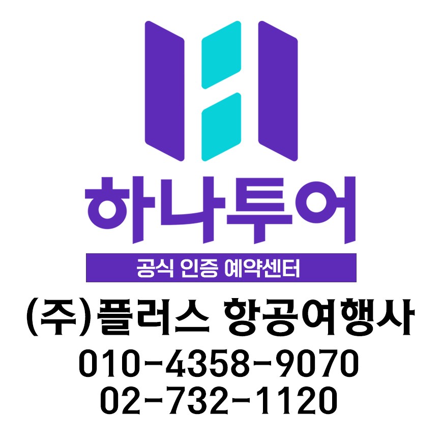 하나투어 플러스항공여행사