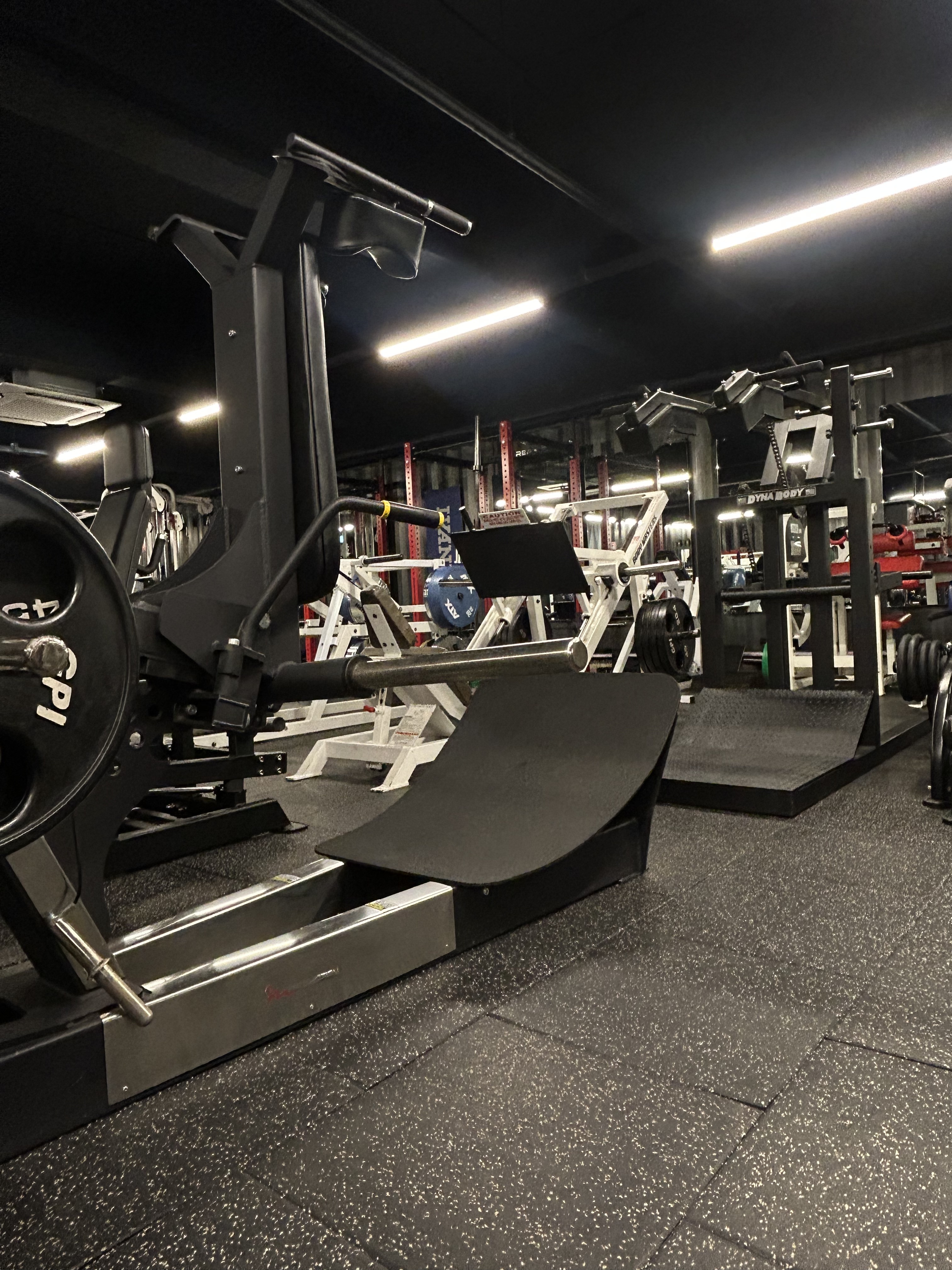 애니핏 후평점 대표 이미지