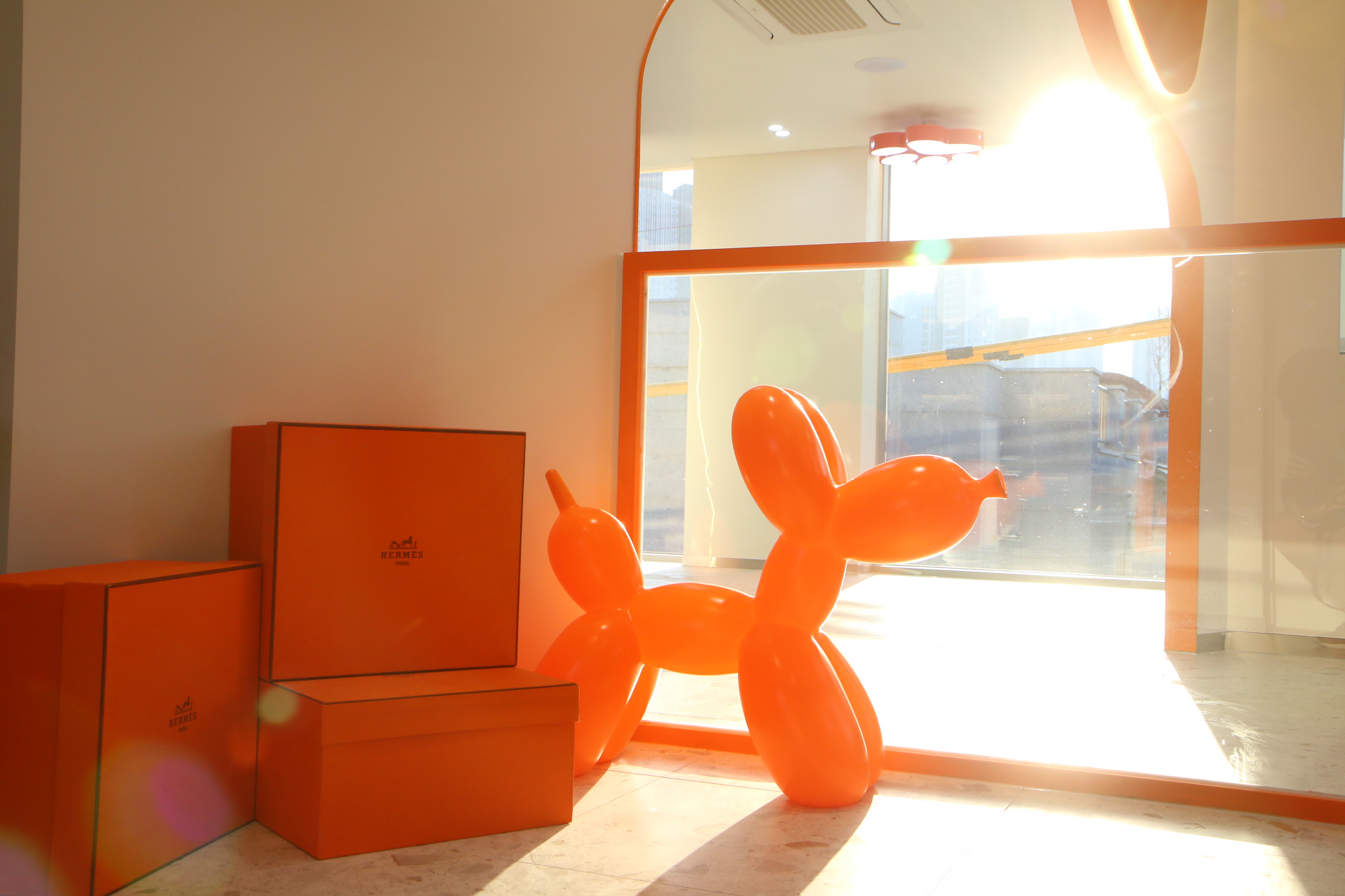 켈리독 강남 애견호텔 애견유치원 대표 이미지