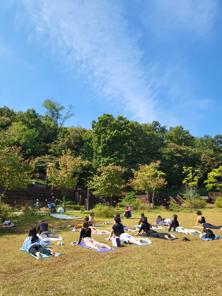 마이요가샬라 대표 이미지