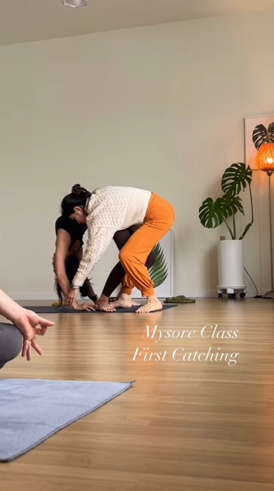 마이요가샬라 대표 이미지