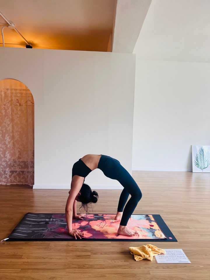 마이요가샬라 대표 이미지