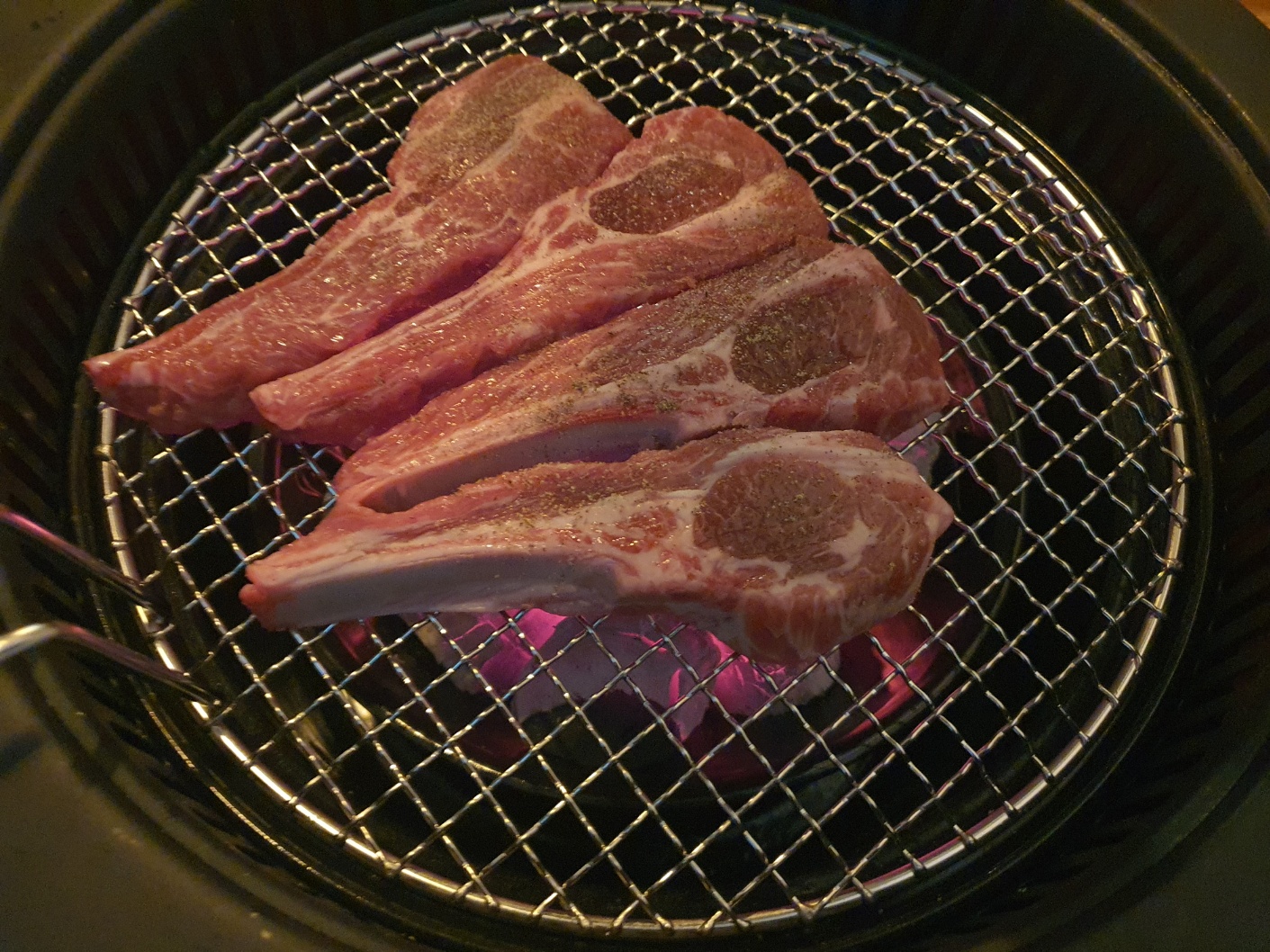 양식가