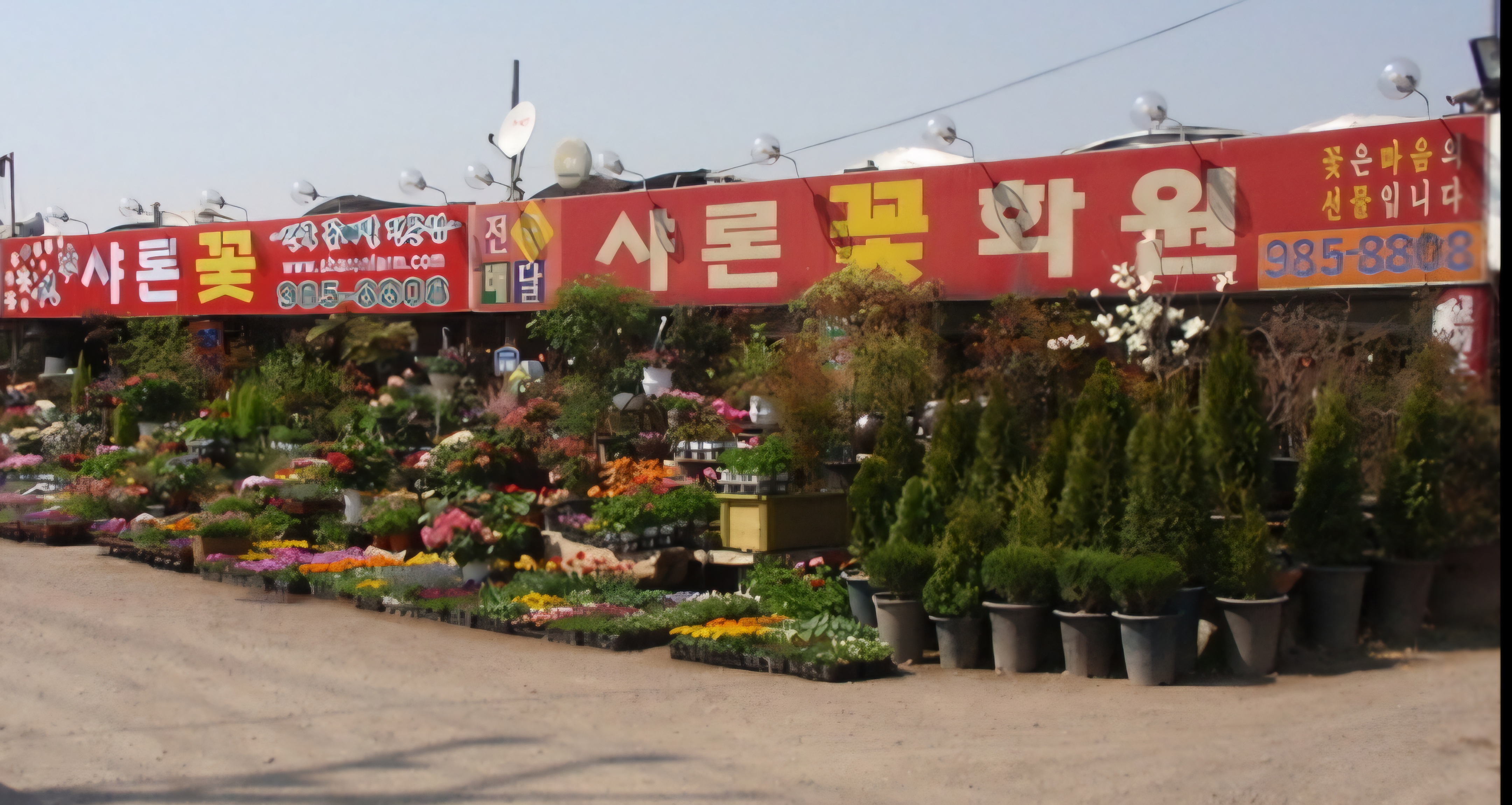 샤론꽃화원