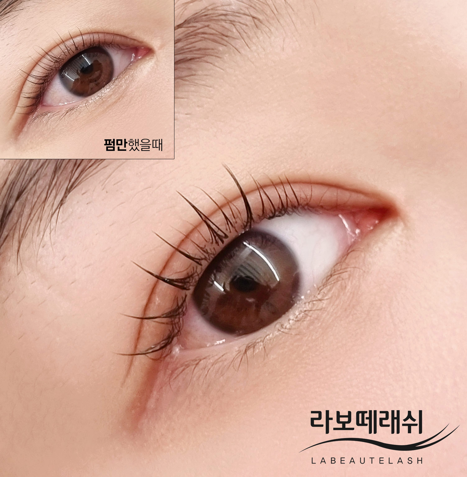 라보떼래쉬 종로점 대표 이미지