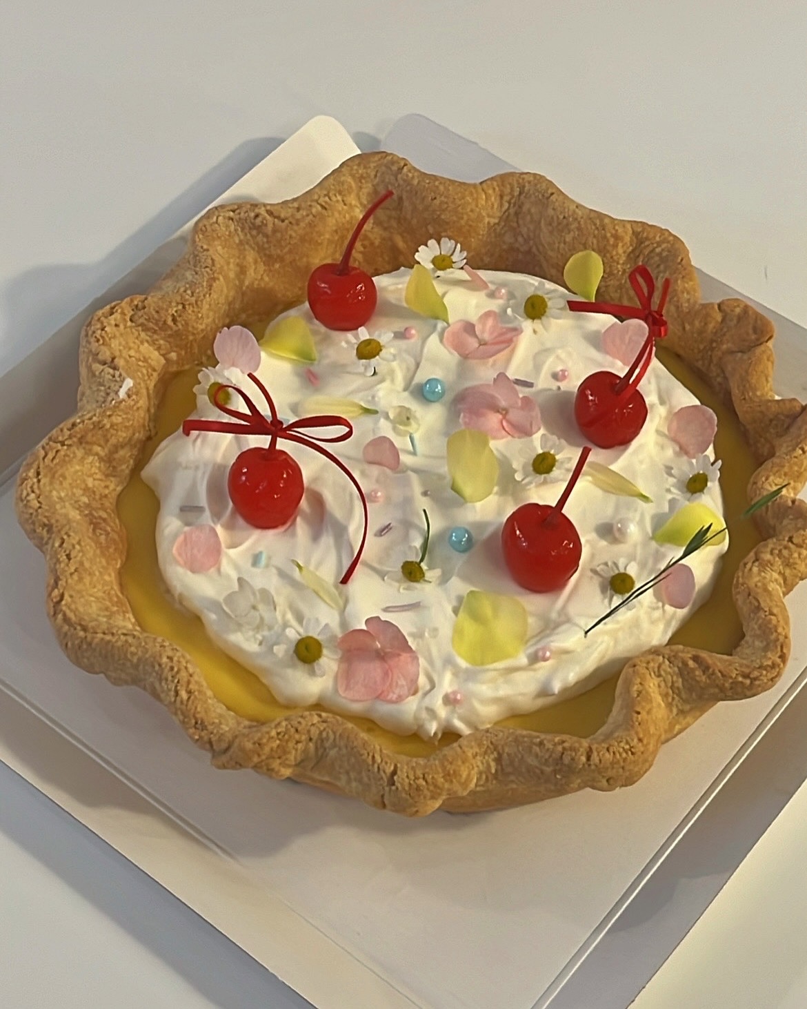 멜츠 케이크
