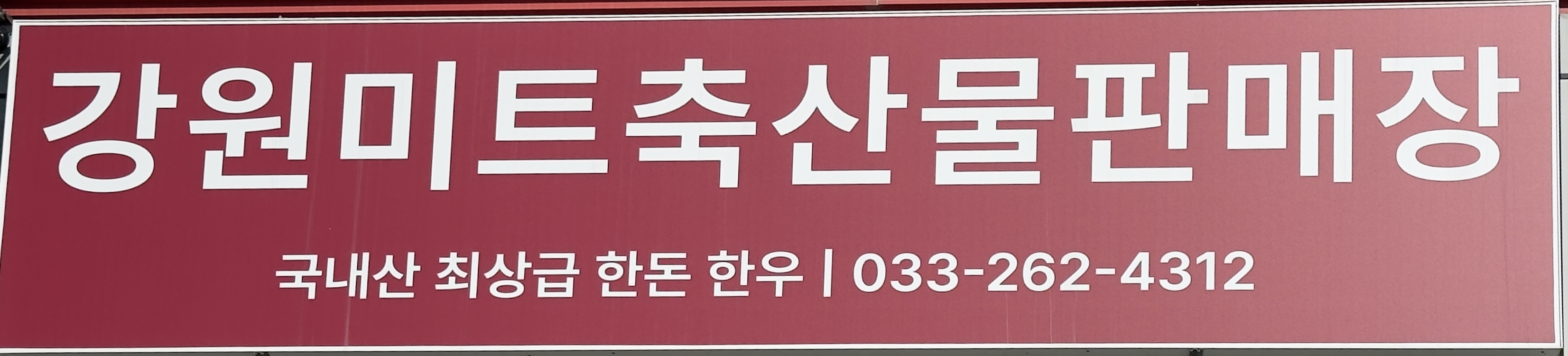 강원미트