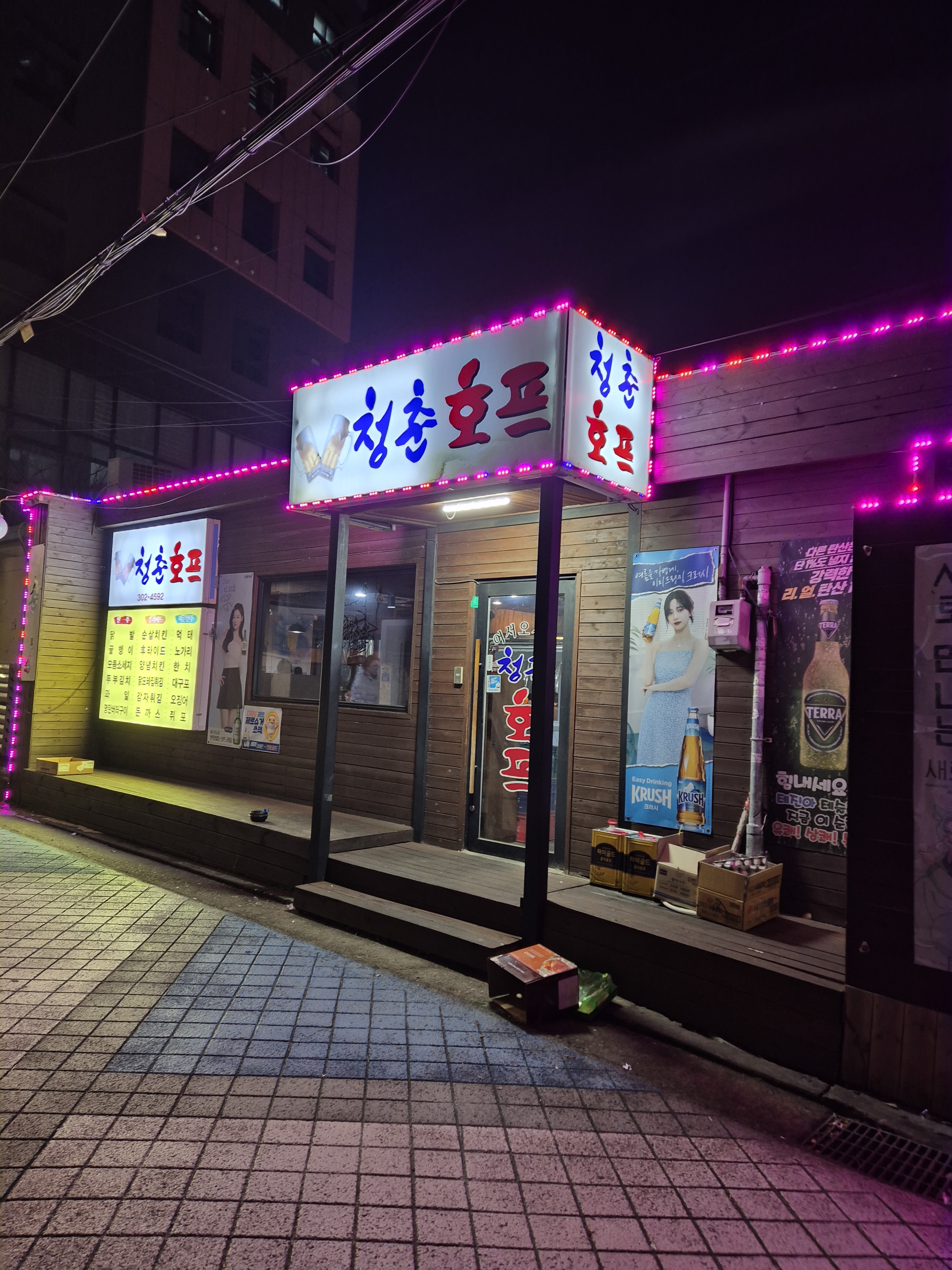 청춘호프
