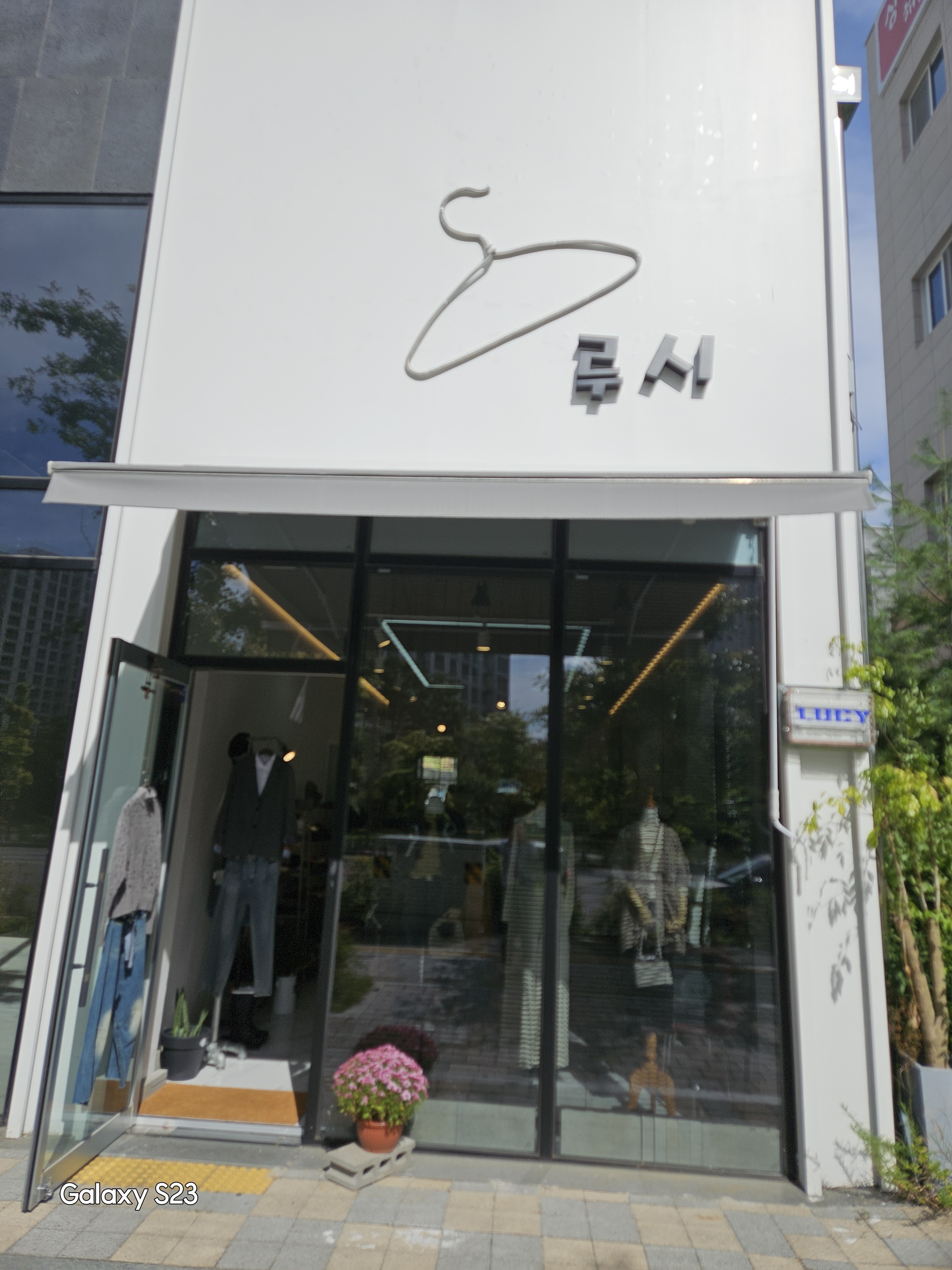 루시