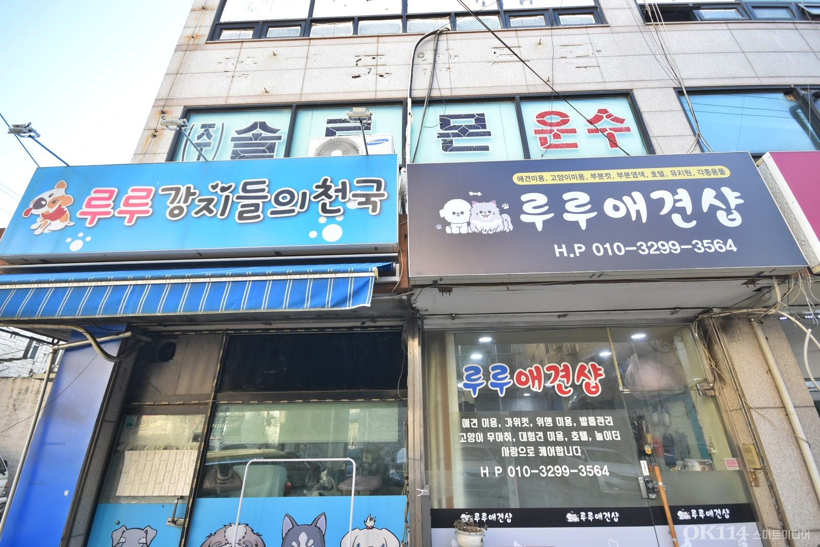 사진 4
